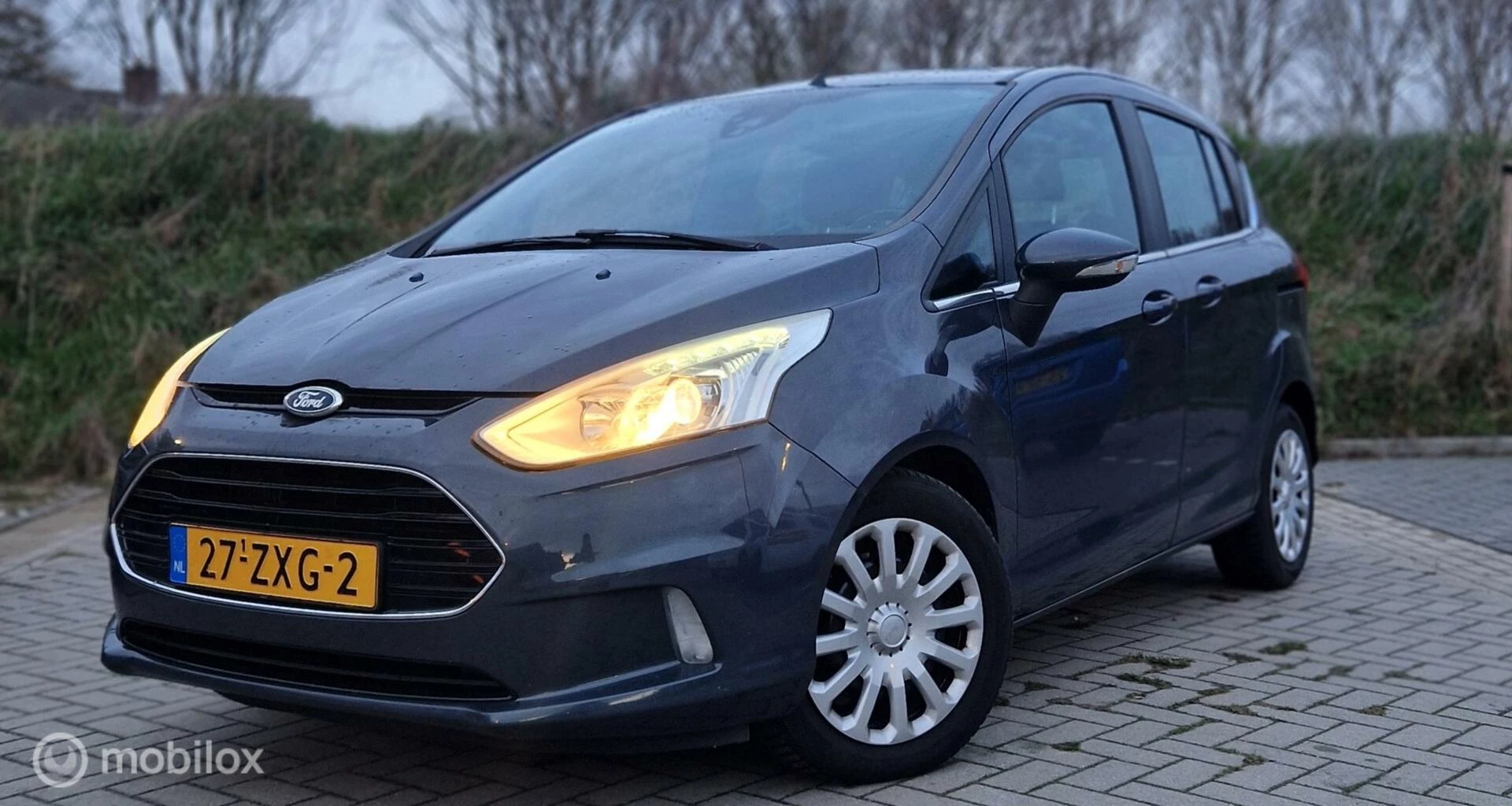 Hoofdafbeelding Ford B-MAX