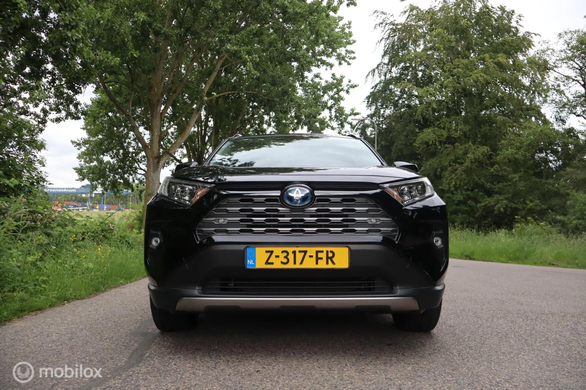Hoofdafbeelding Toyota RAV4