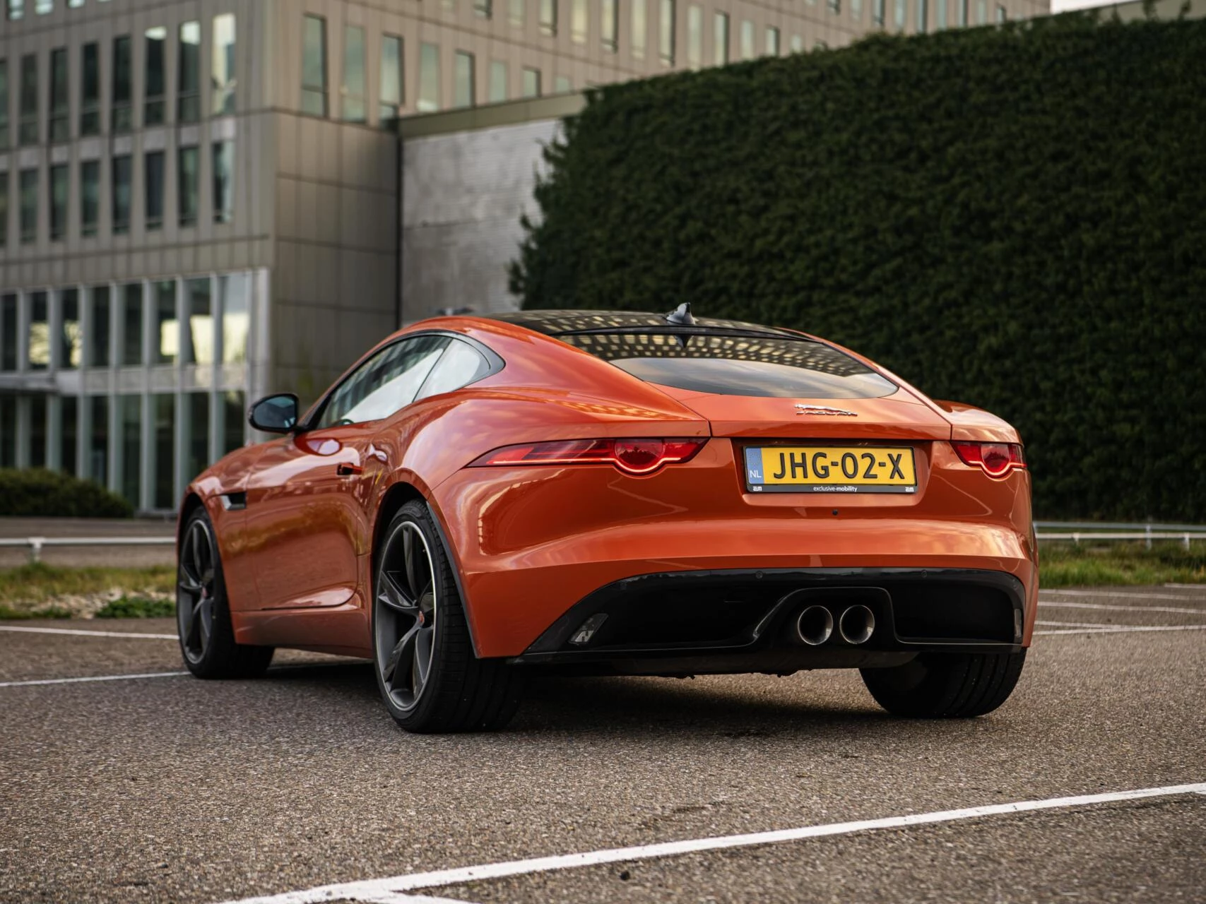 Hoofdafbeelding Jaguar F-Type