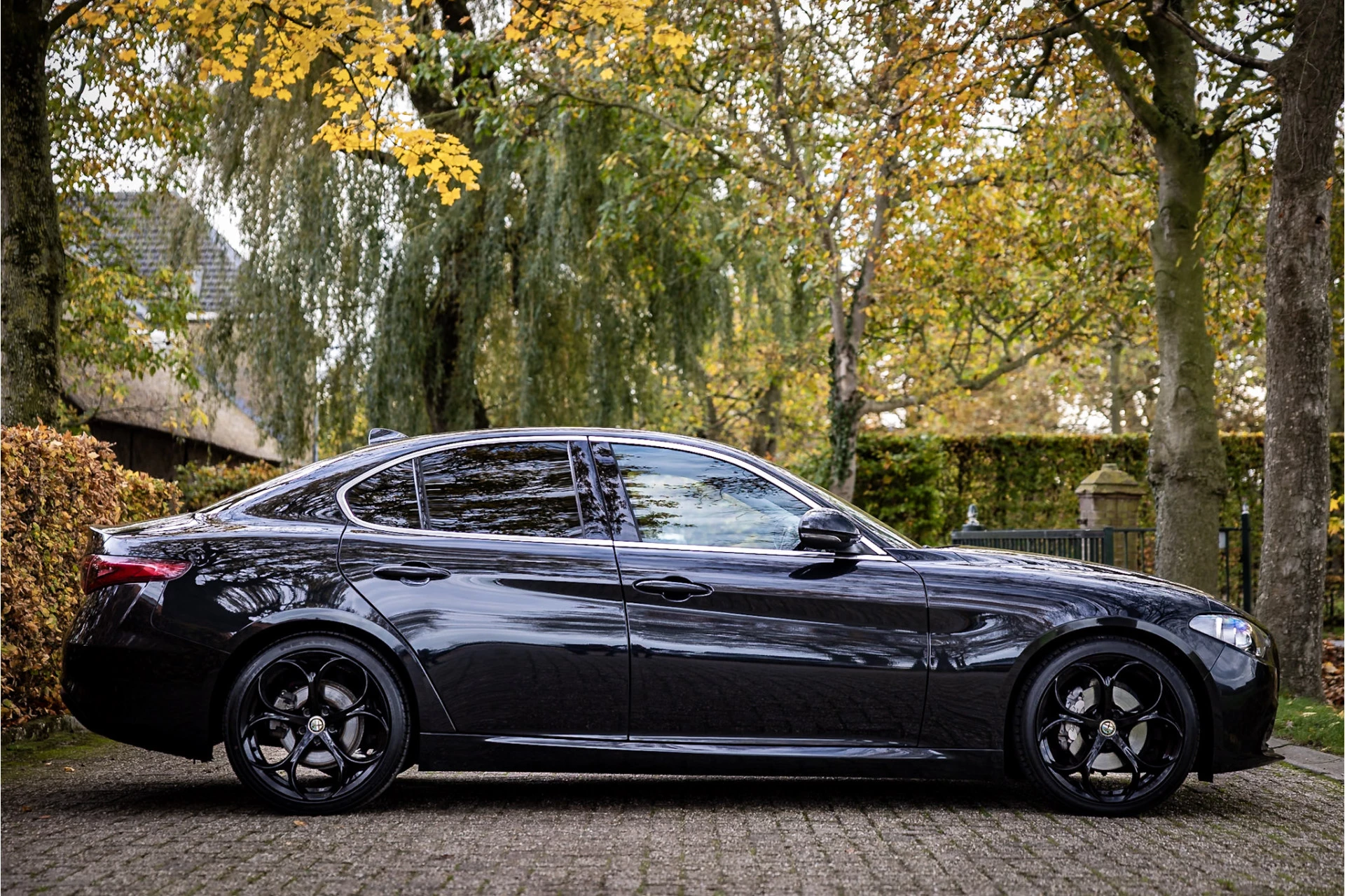 Hoofdafbeelding Alfa Romeo Giulia