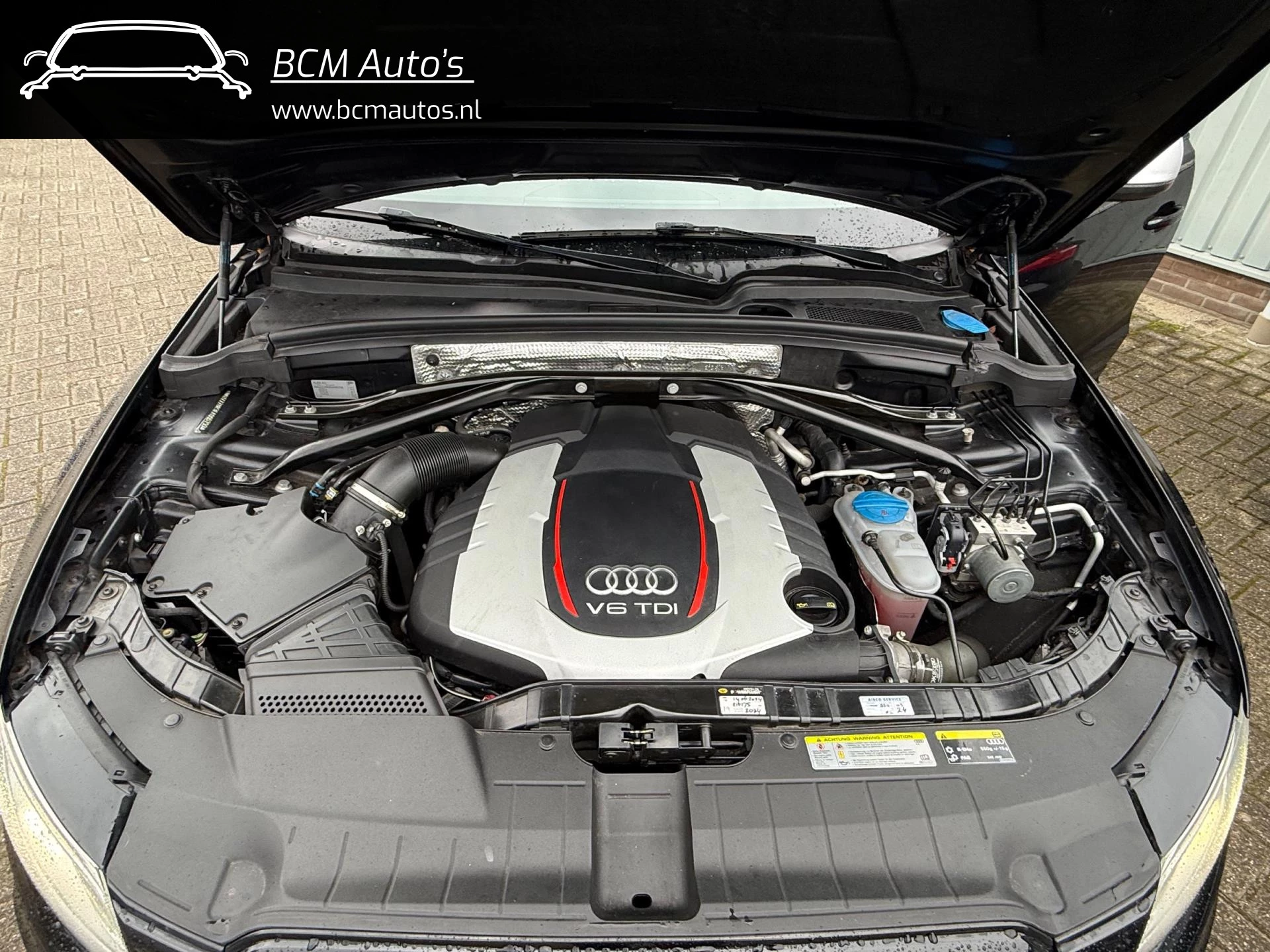 Hoofdafbeelding Audi SQ5