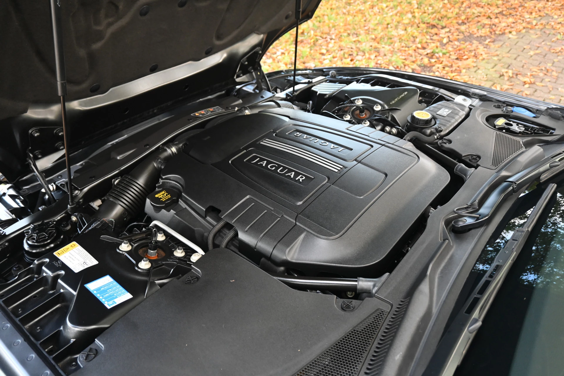 Hoofdafbeelding Jaguar XK