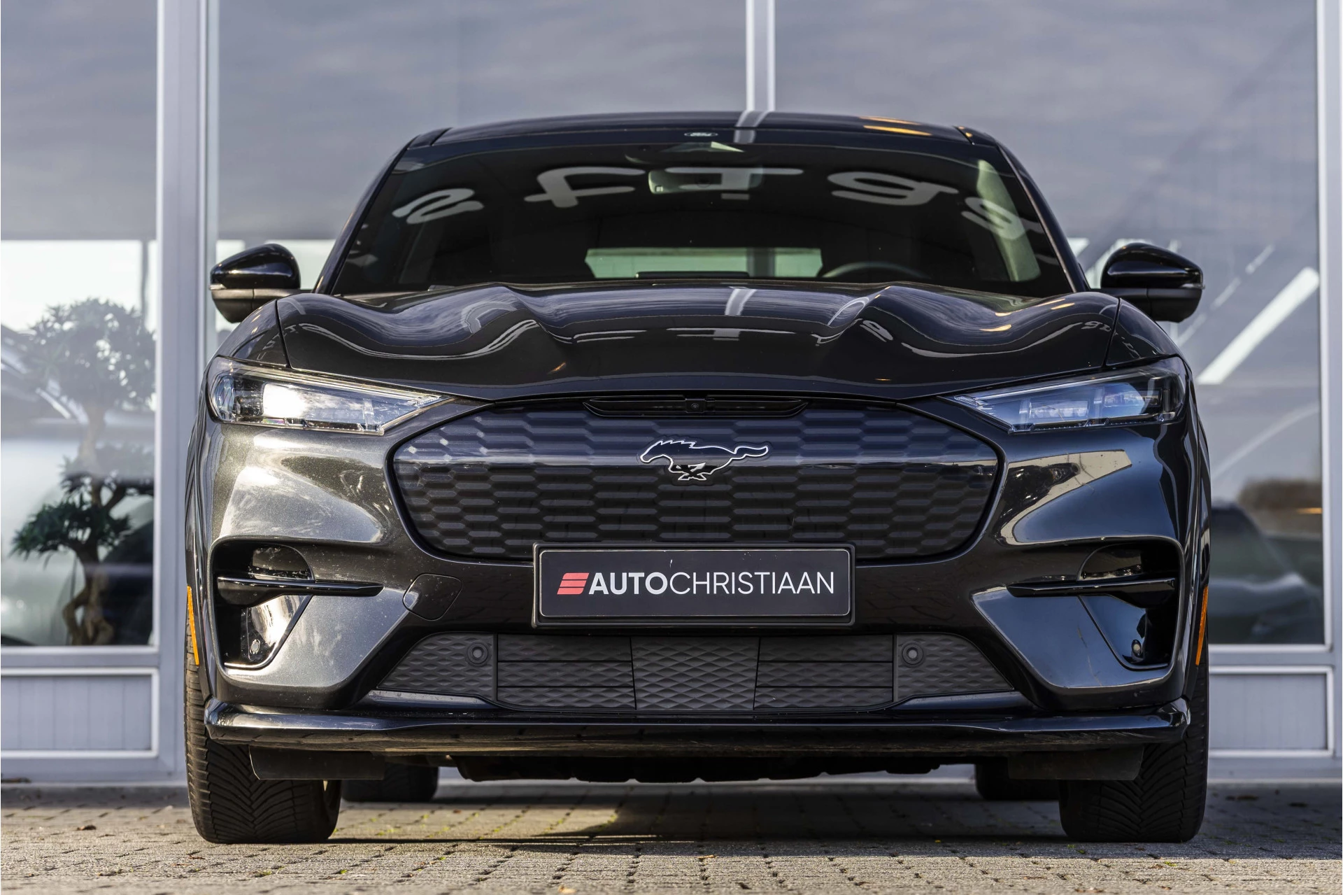 Hoofdafbeelding Ford Mustang Mach-E