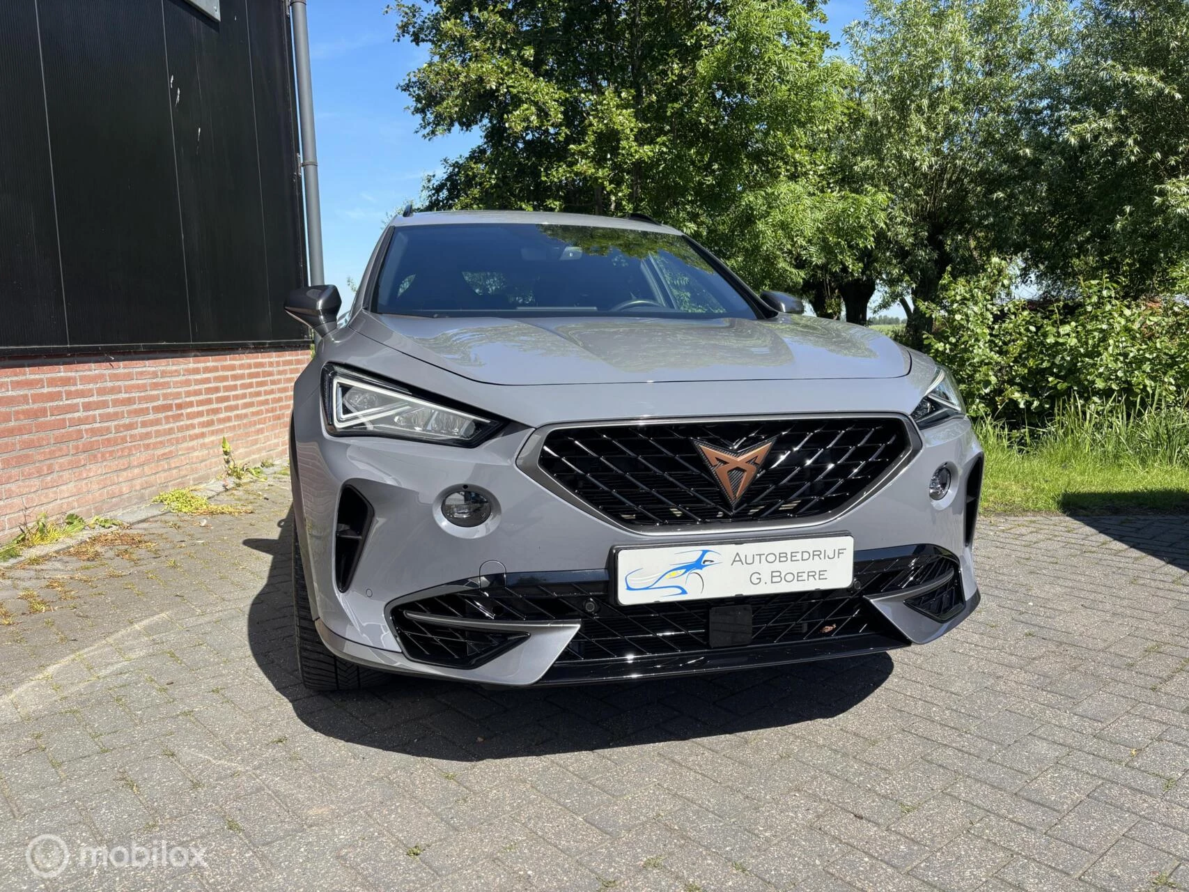 Hoofdafbeelding CUPRA Formentor