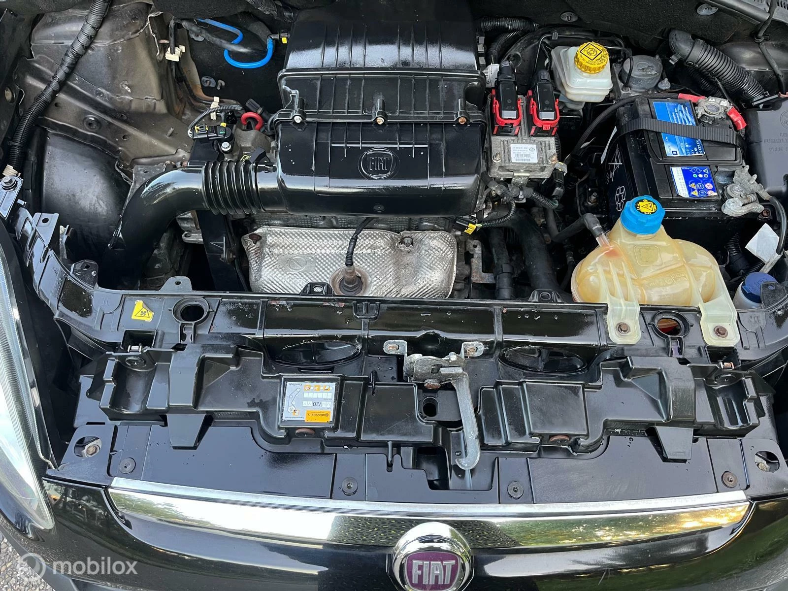 Hoofdafbeelding Fiat Punto