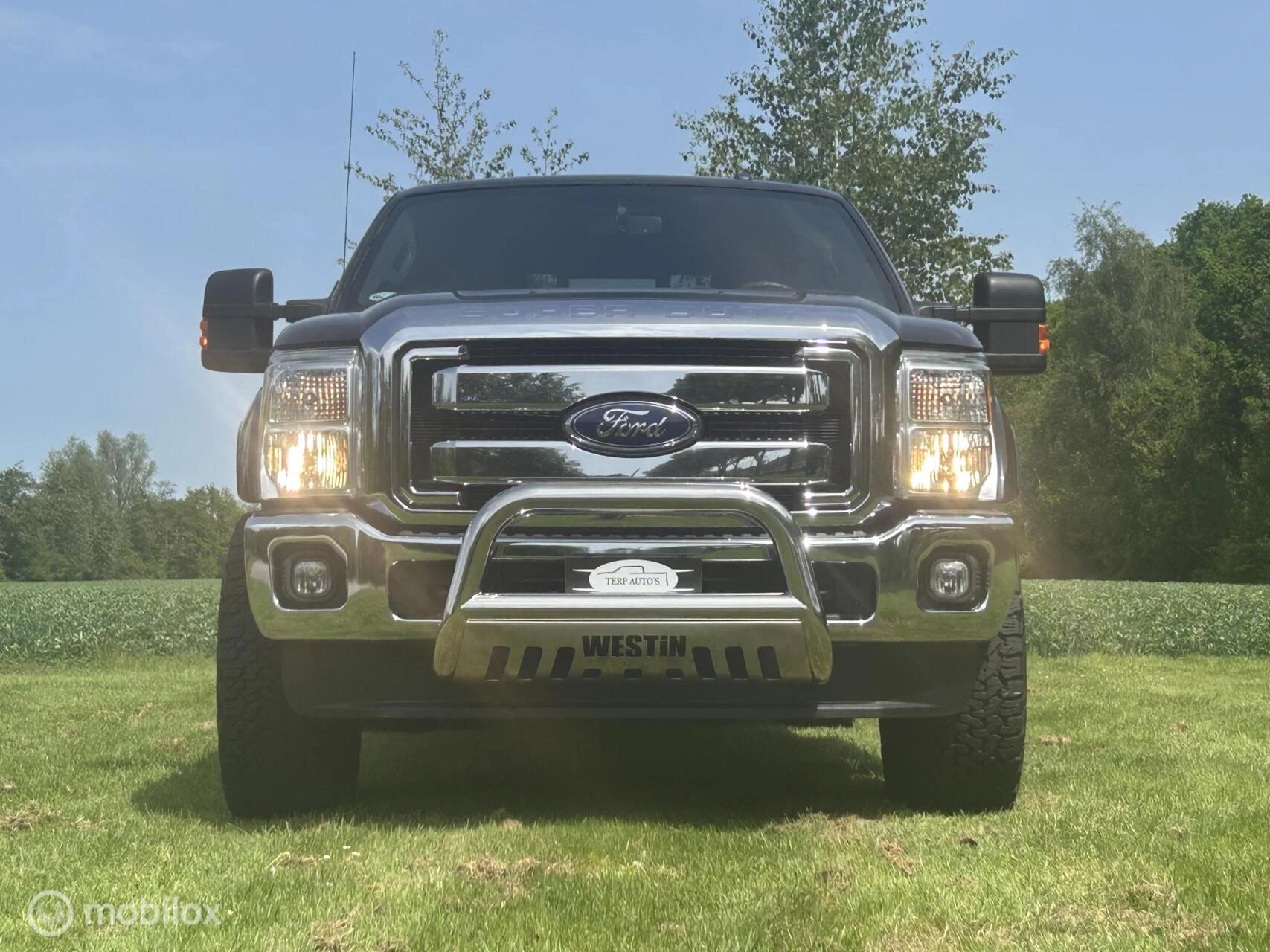 Hoofdafbeelding Ford F-250
