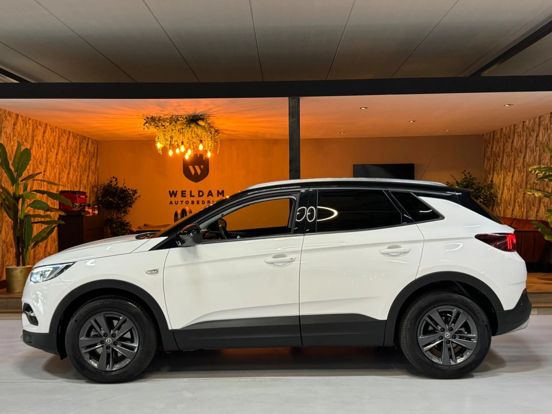 Hoofdafbeelding Opel Grandland X