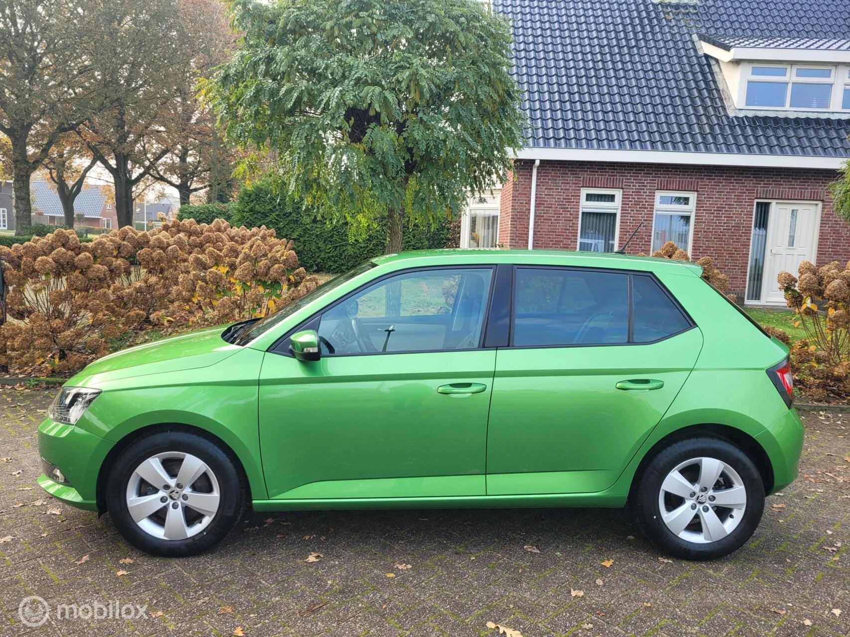 Hoofdafbeelding Škoda Fabia