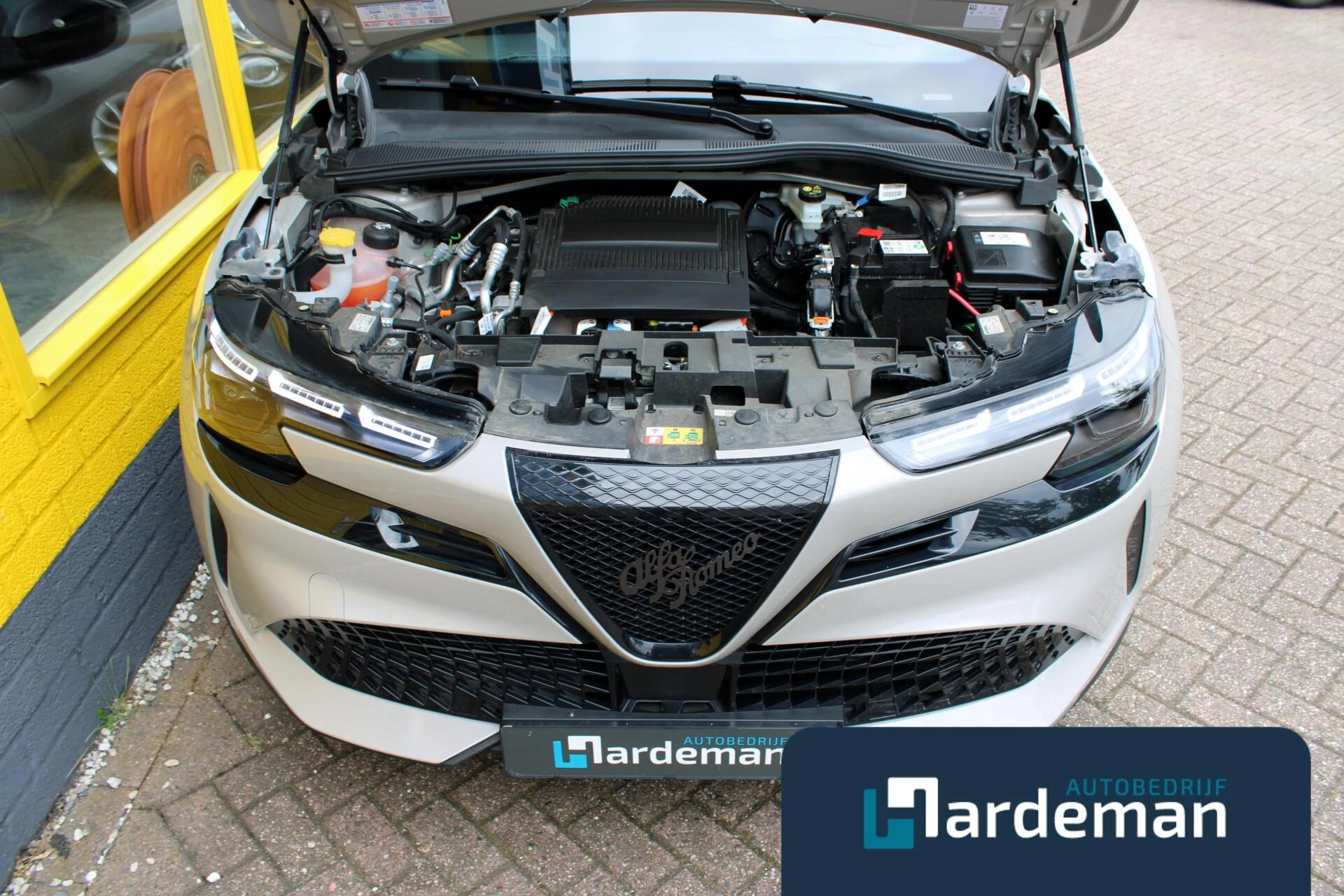 Hoofdafbeelding Alfa Romeo Junior