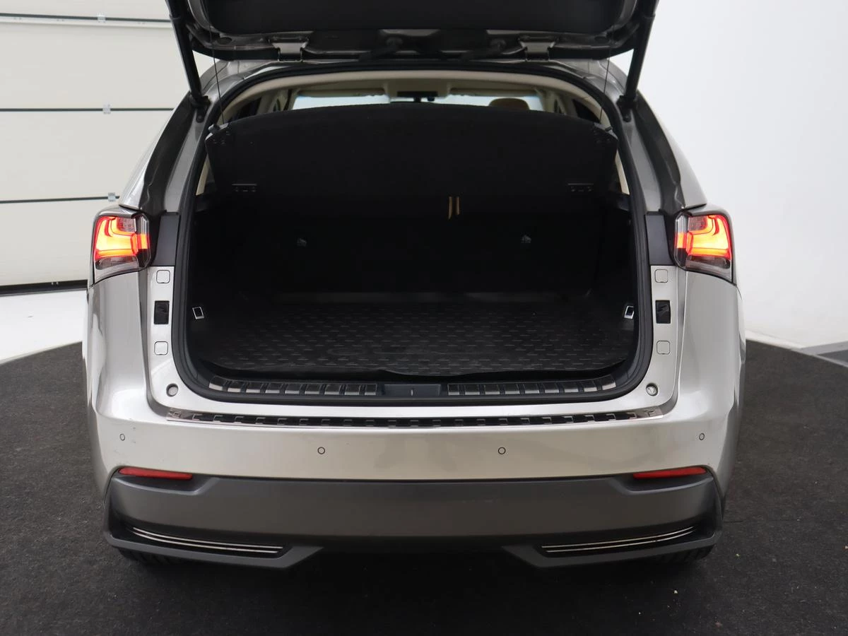 Hoofdafbeelding Lexus NX