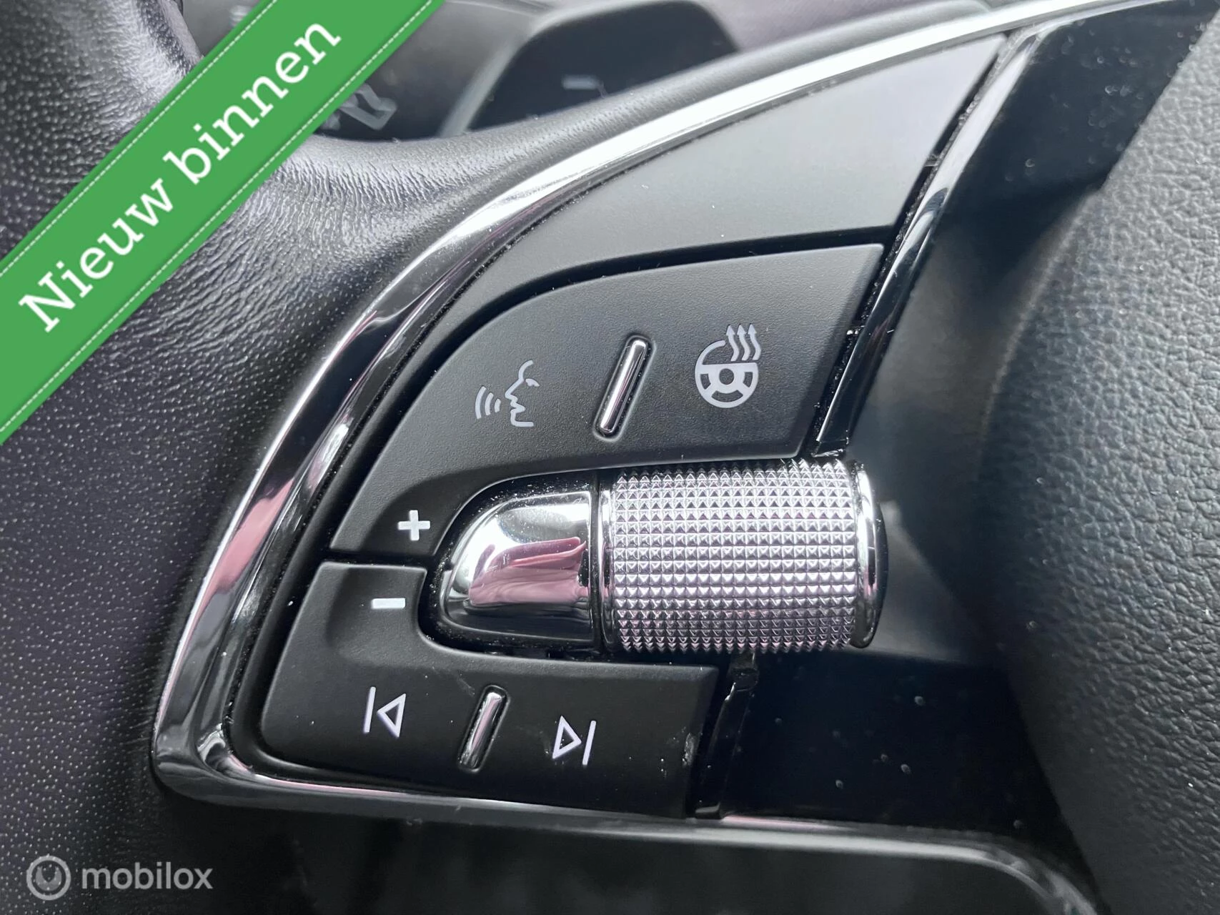 Hoofdafbeelding Škoda Enyaq iV