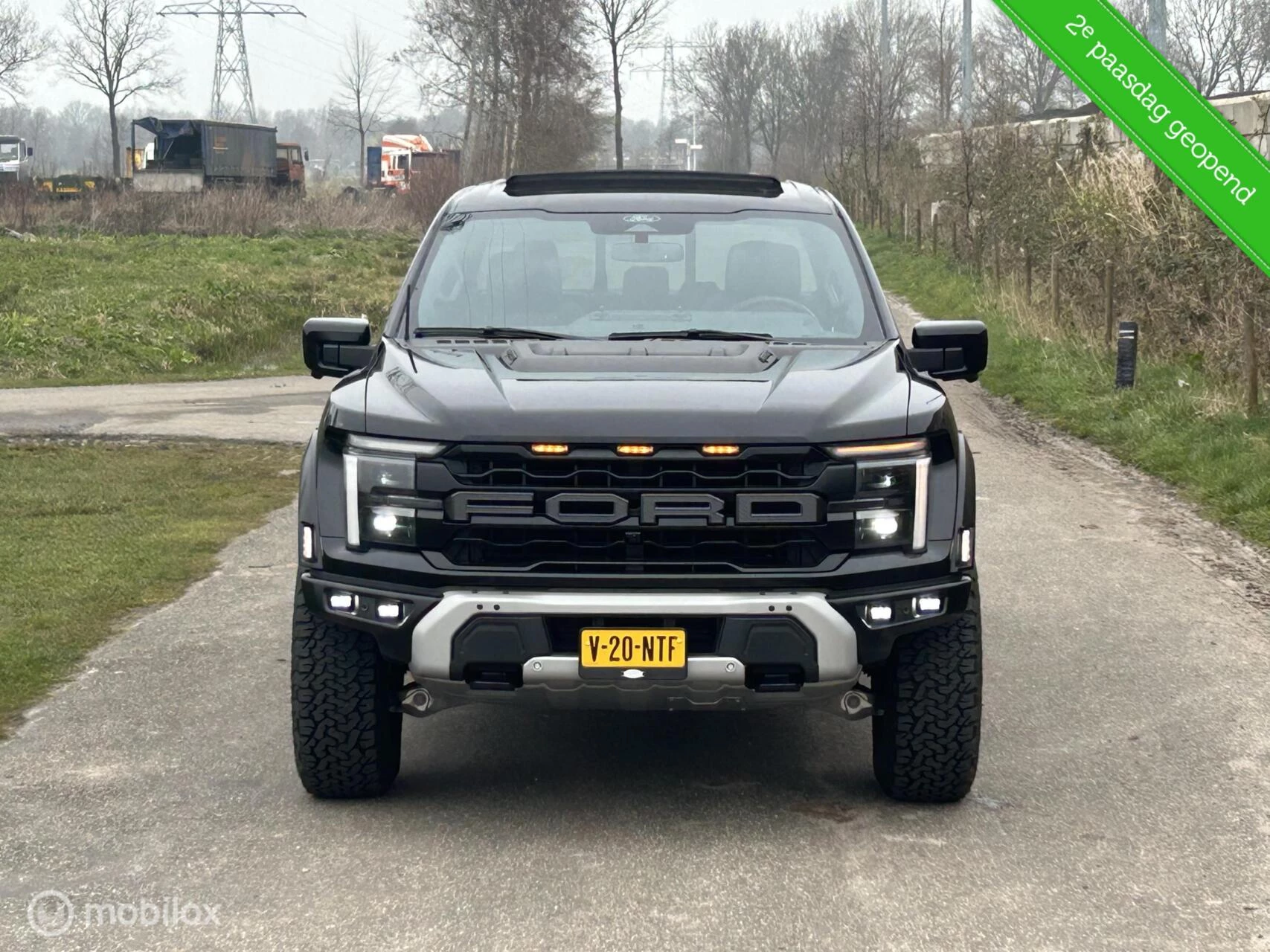 Hoofdafbeelding Ford F-150