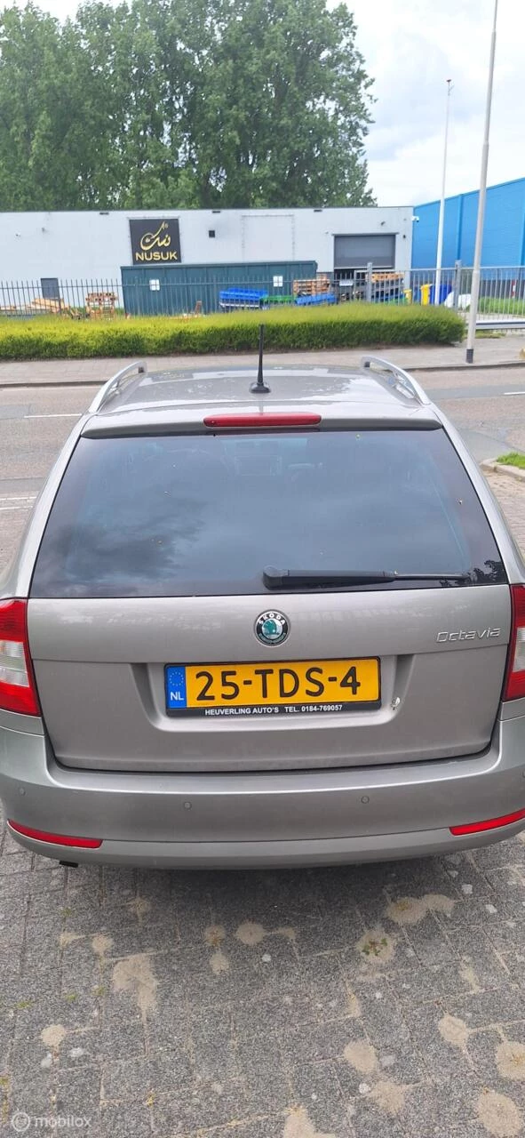 Hoofdafbeelding Škoda Octavia