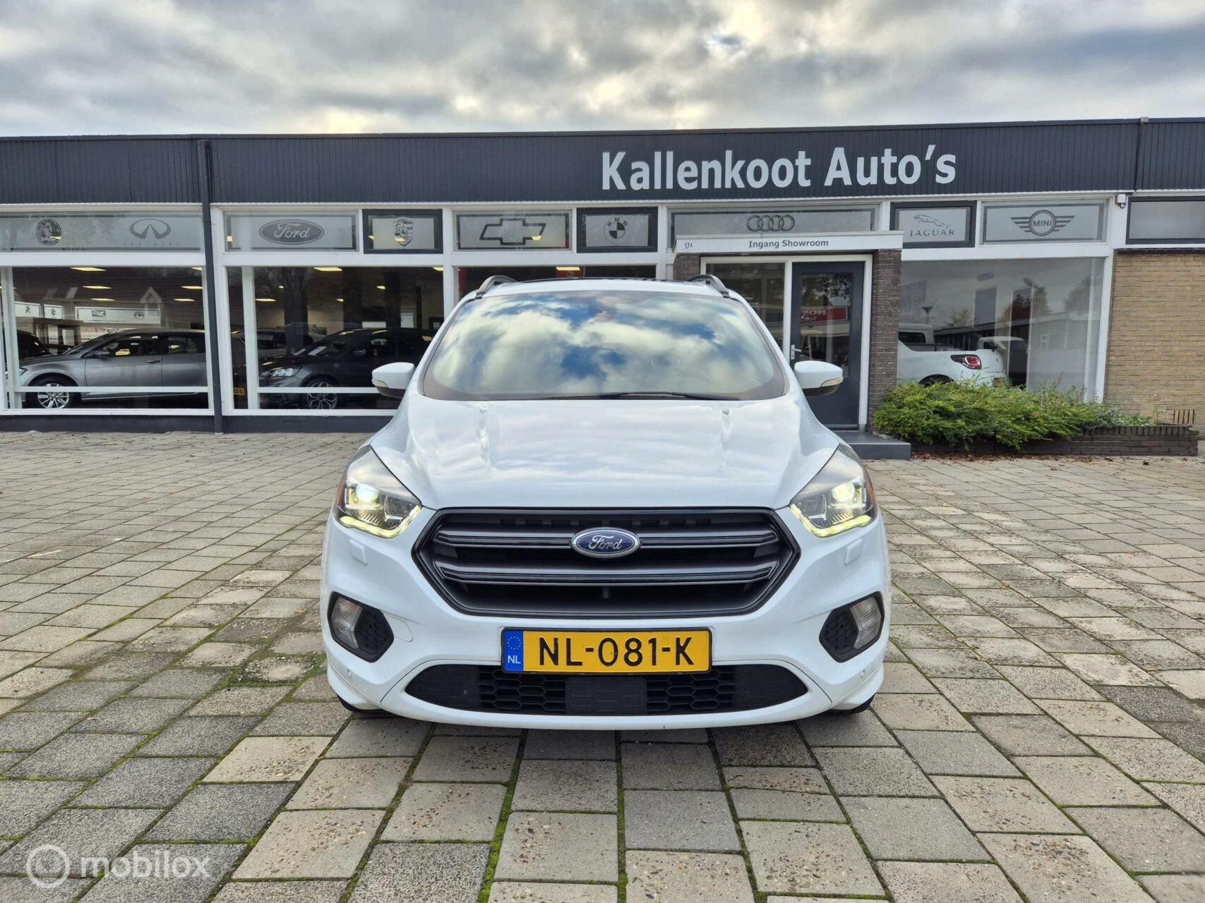 Hoofdafbeelding Ford Kuga