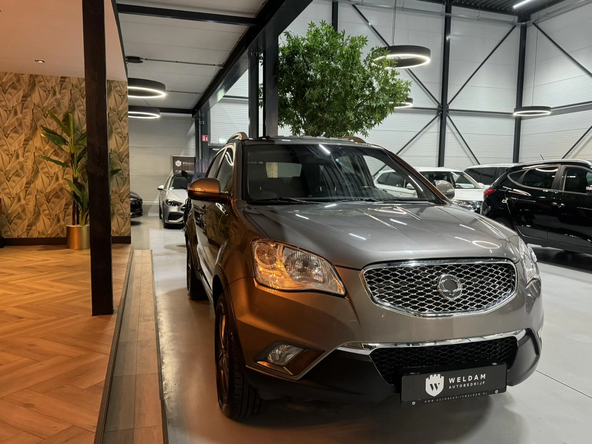 Hoofdafbeelding SsangYong Korando