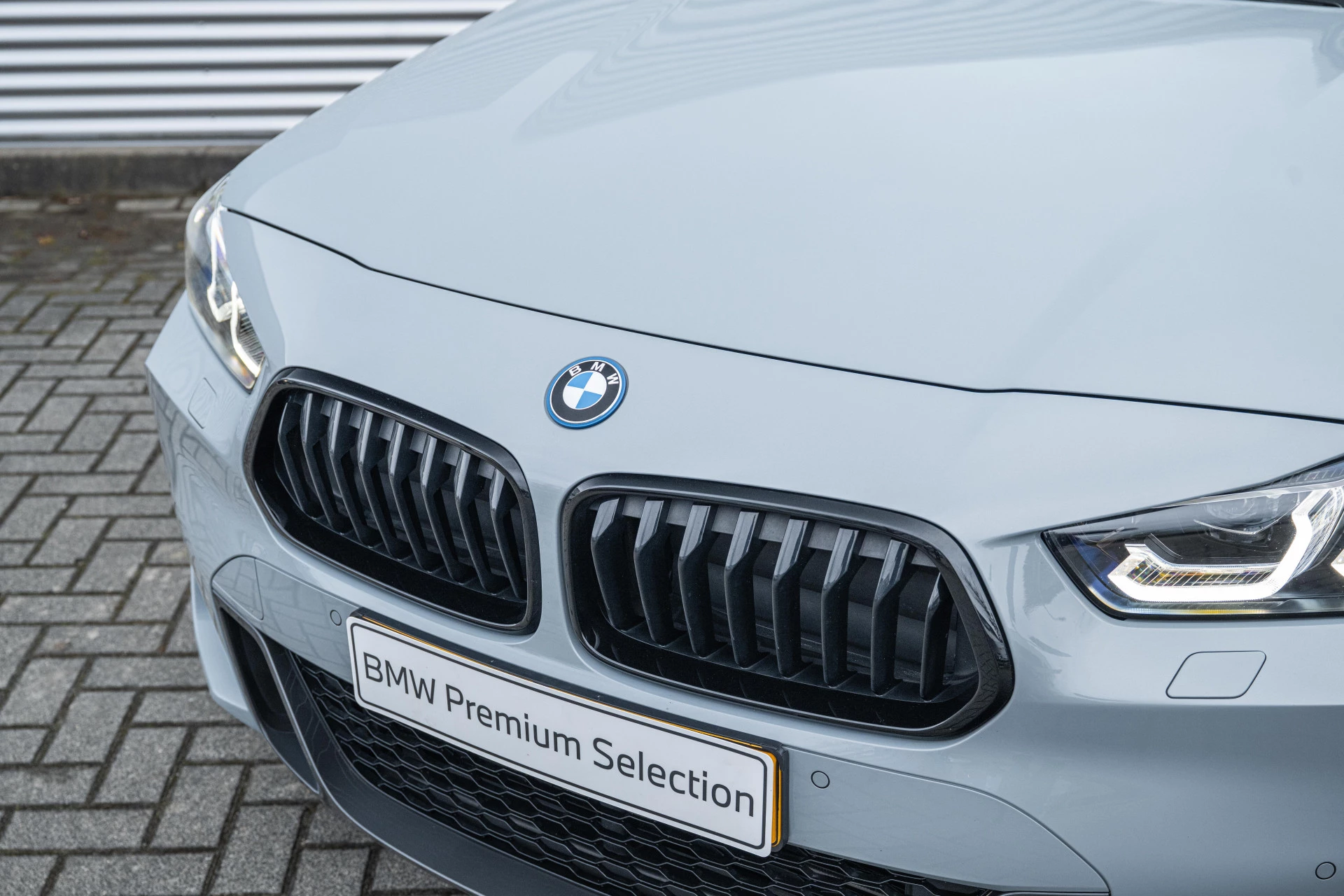 Hoofdafbeelding BMW X2