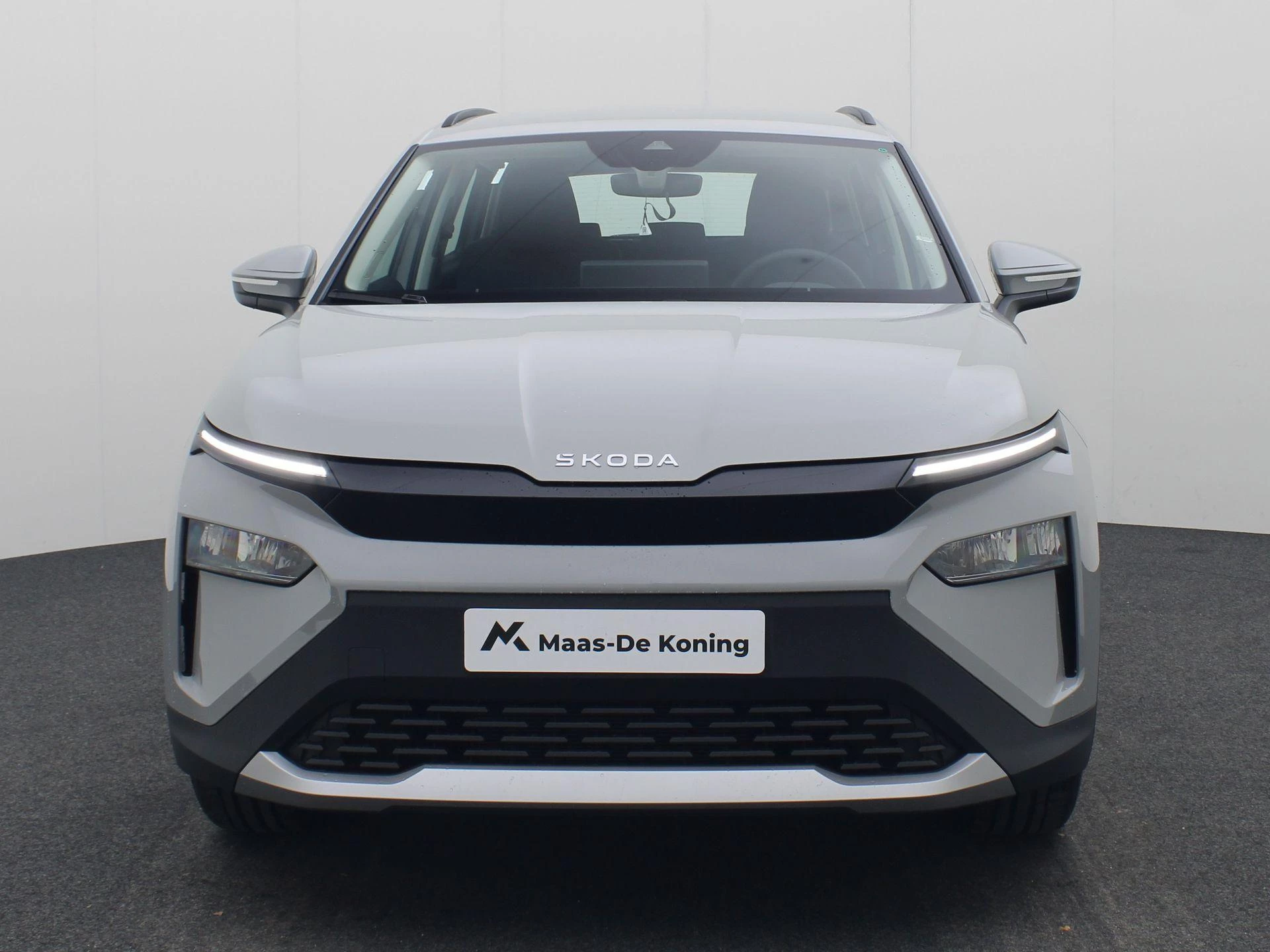 Hoofdafbeelding Škoda Elroq