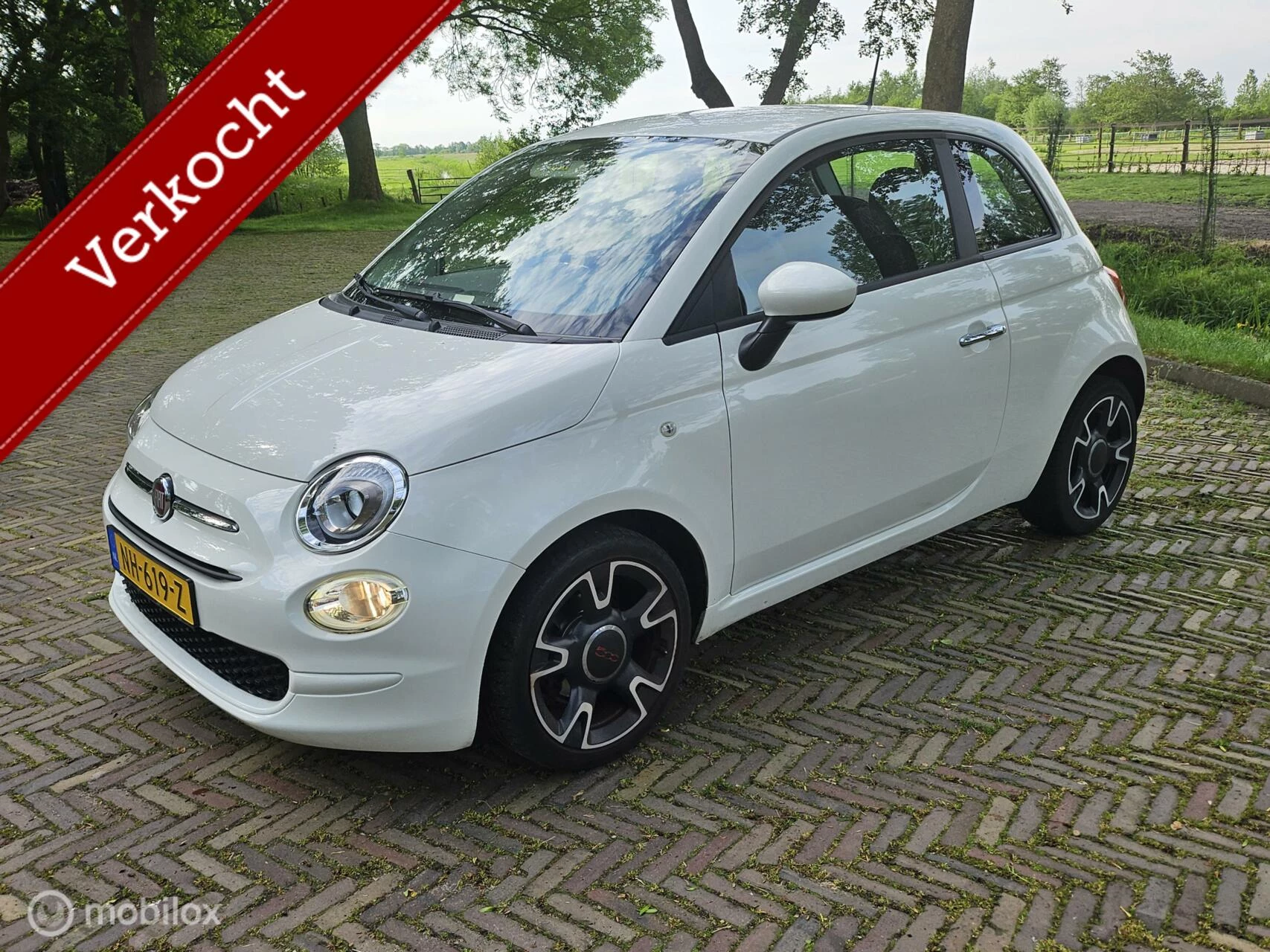 Hoofdafbeelding Fiat 500