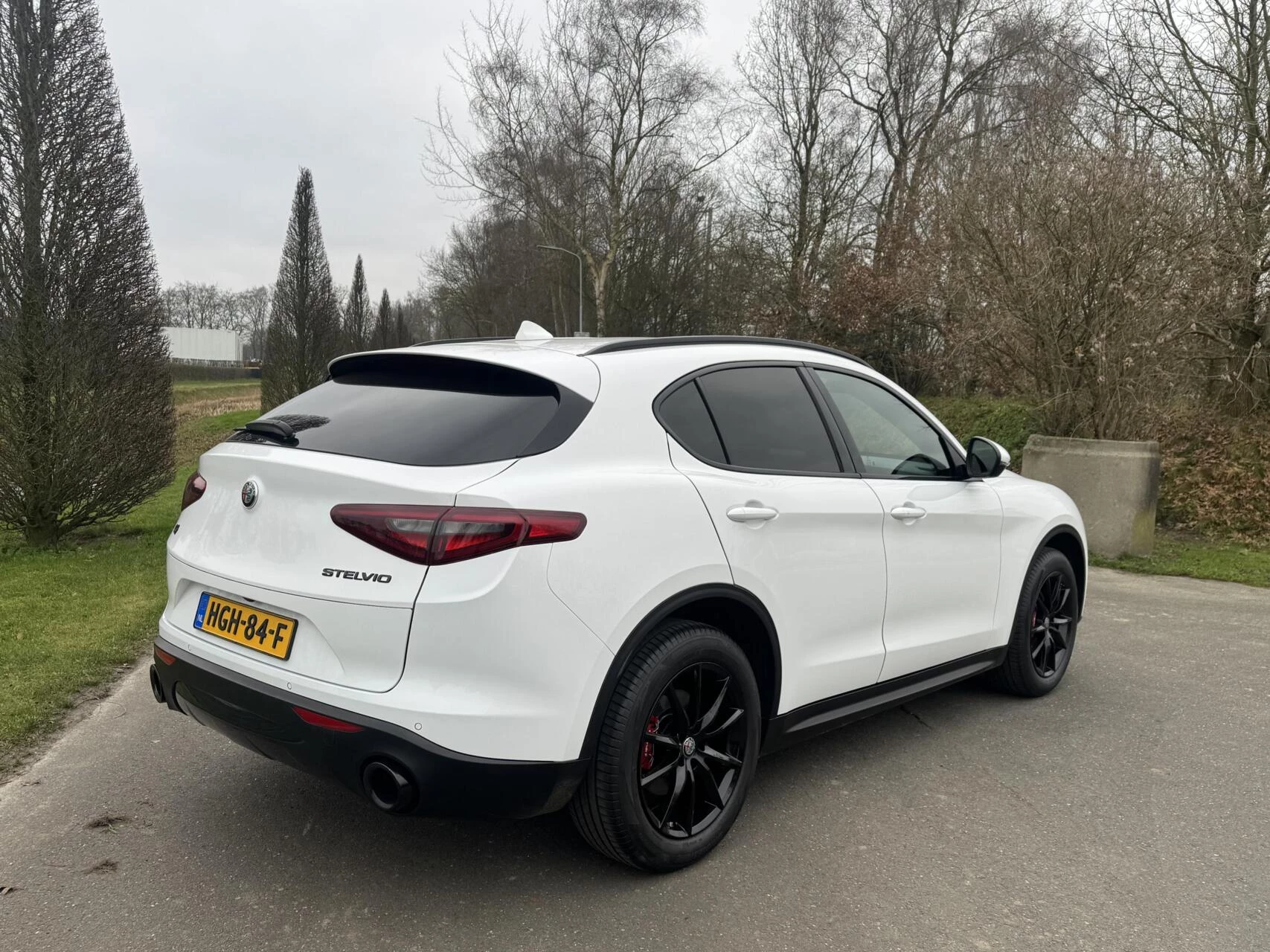Hoofdafbeelding Alfa Romeo Stelvio