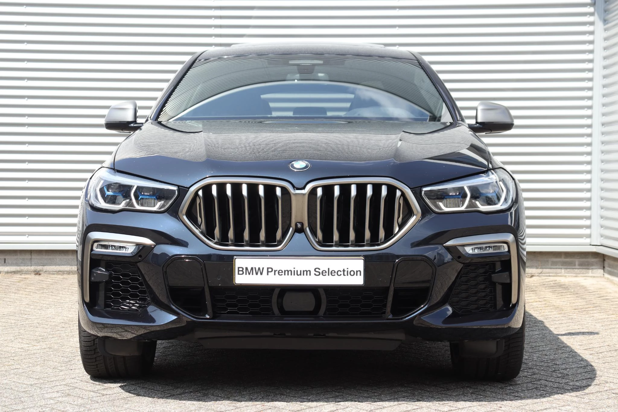 Hoofdafbeelding BMW X6