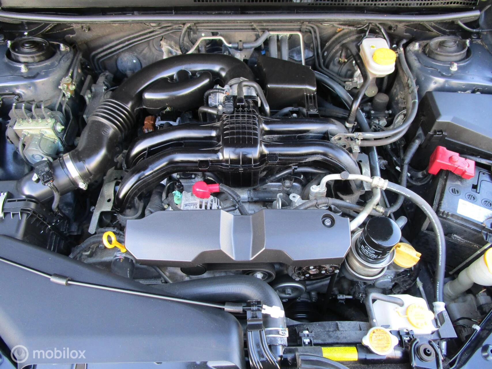 Hoofdafbeelding Subaru XV