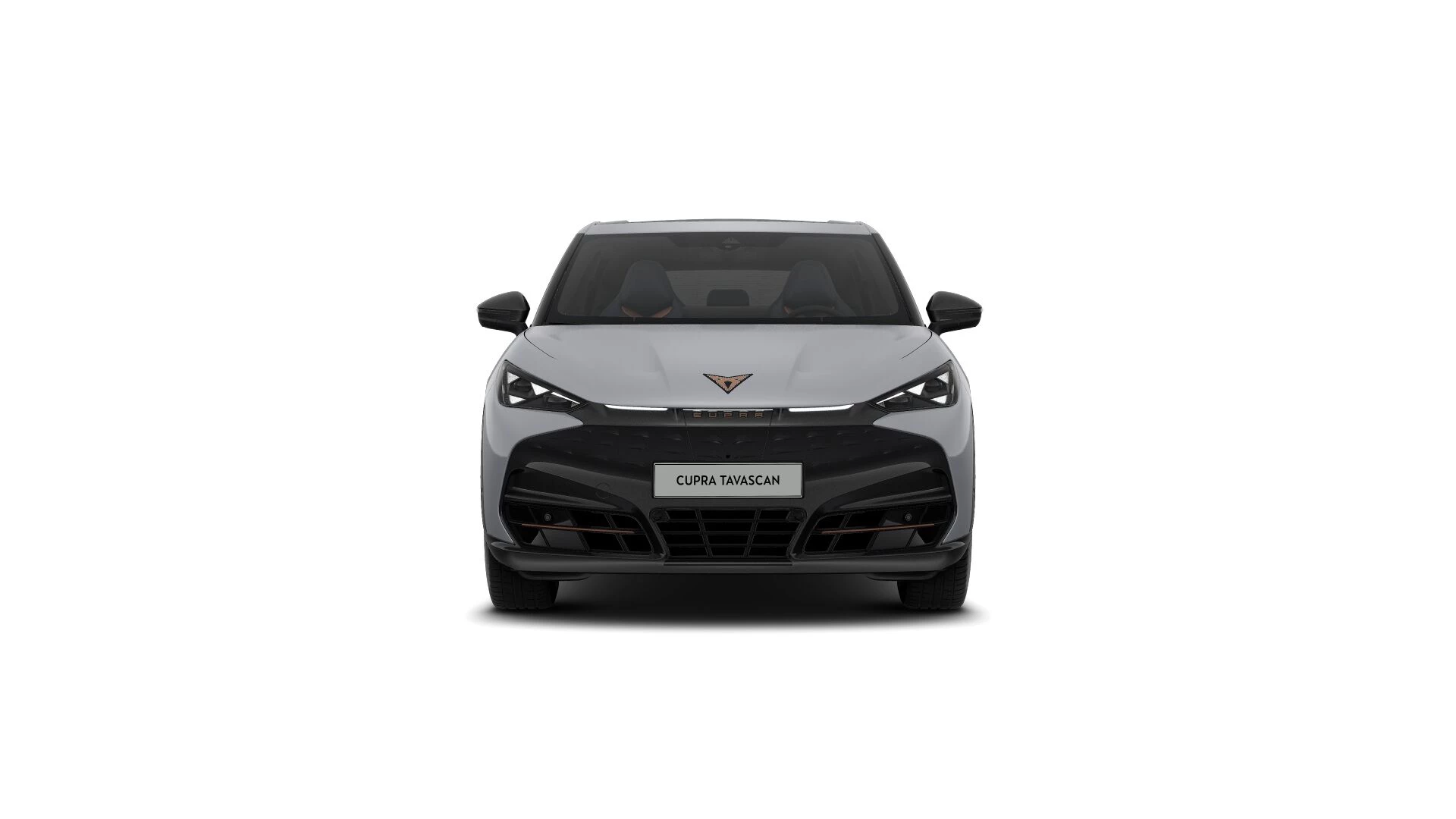 Hoofdafbeelding CUPRA Tavascan