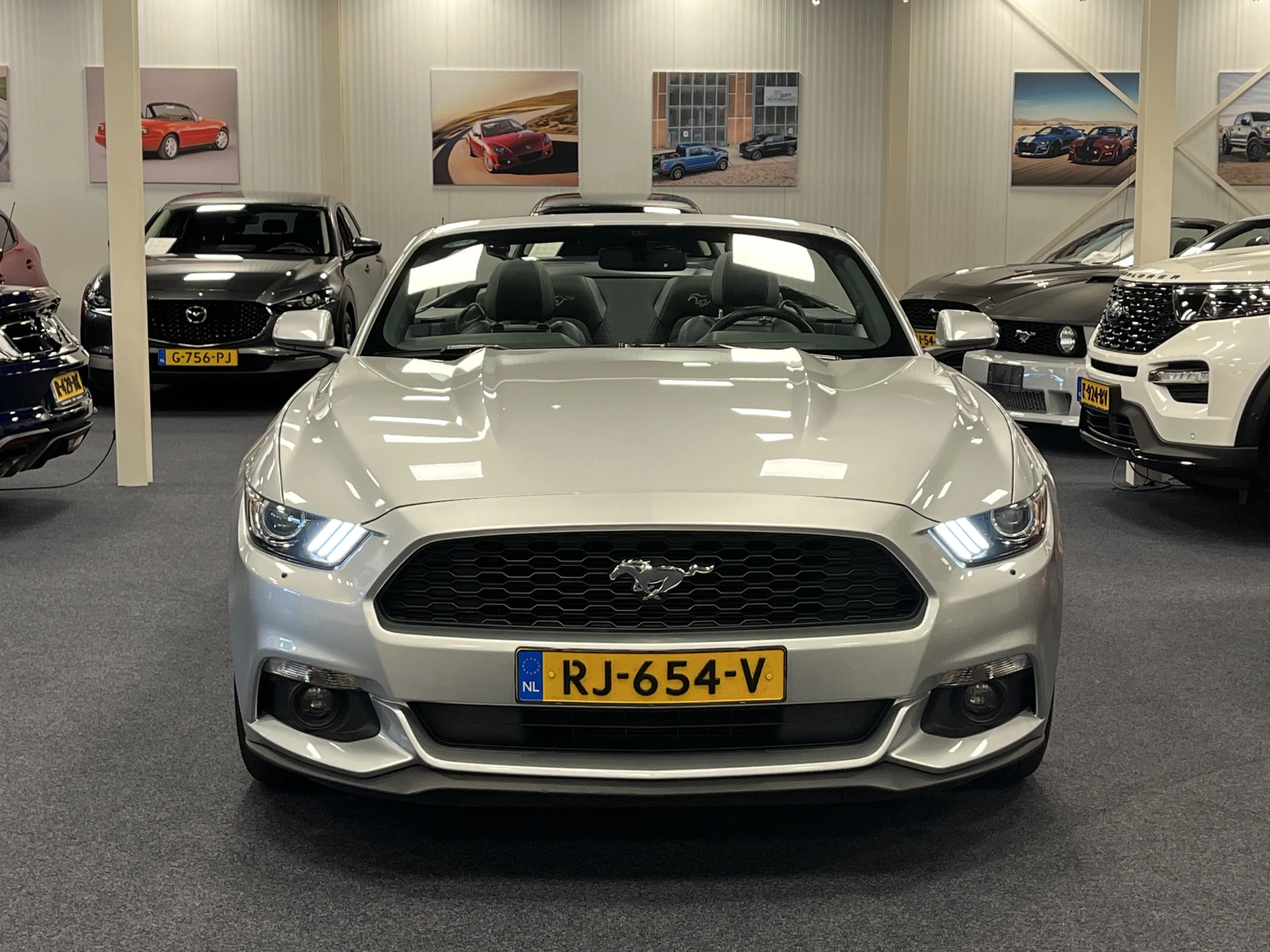 Hoofdafbeelding Ford Mustang