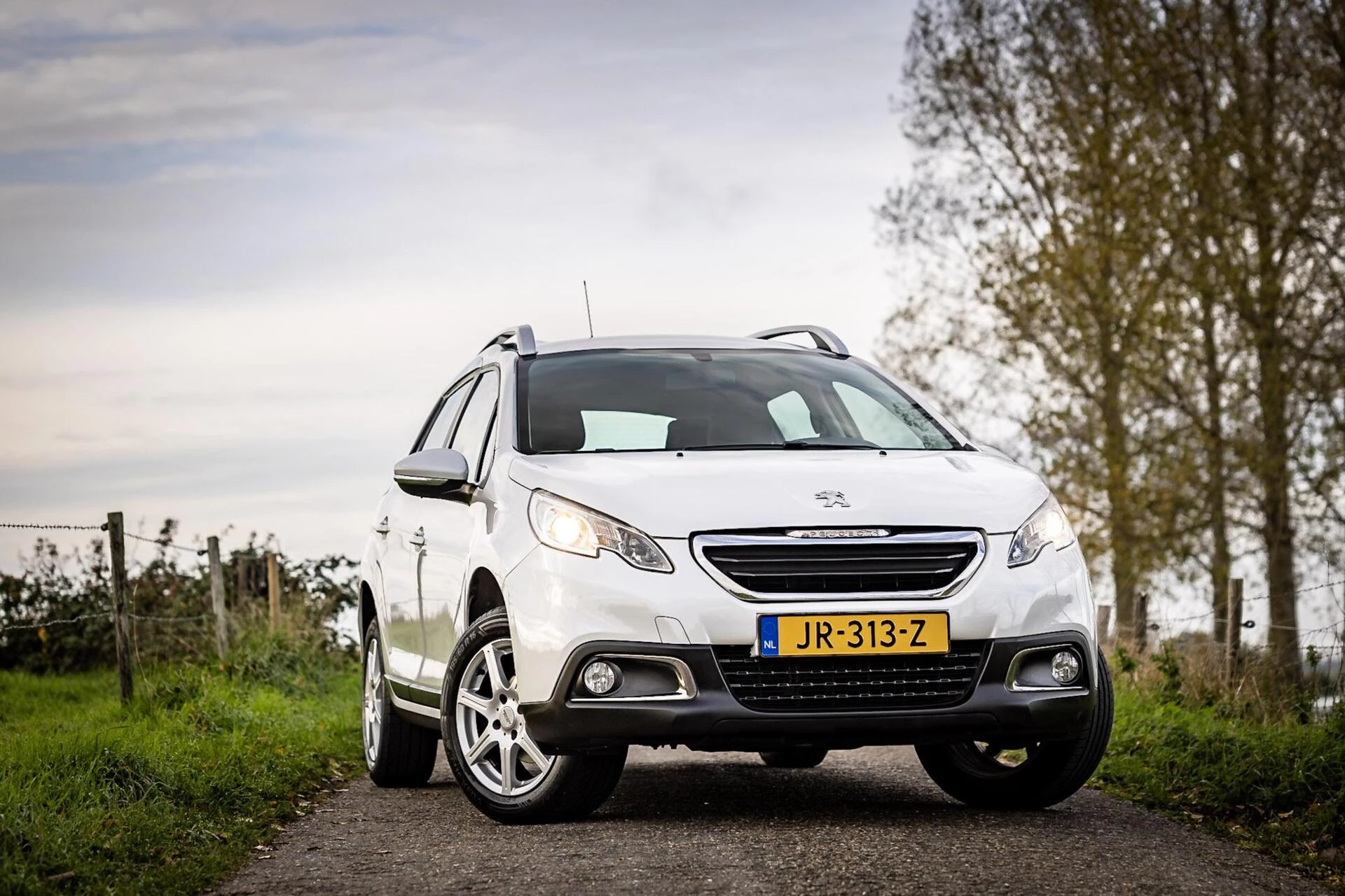 Hoofdafbeelding Peugeot 2008