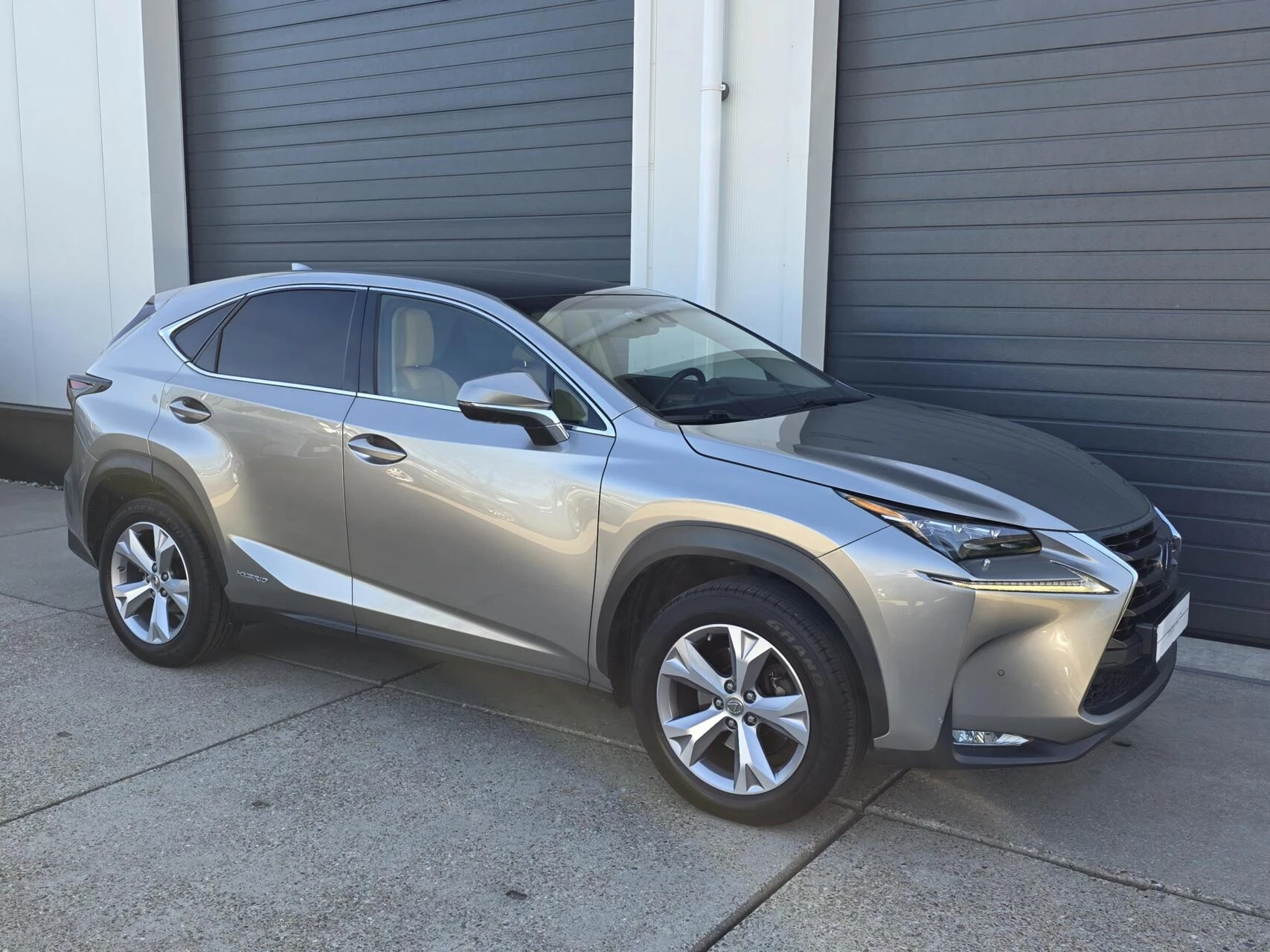 Hoofdafbeelding Lexus NX