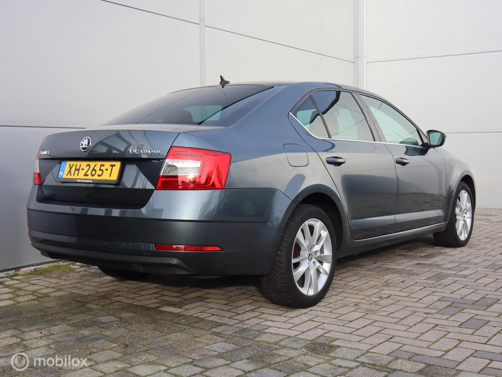 Hoofdafbeelding Škoda Octavia