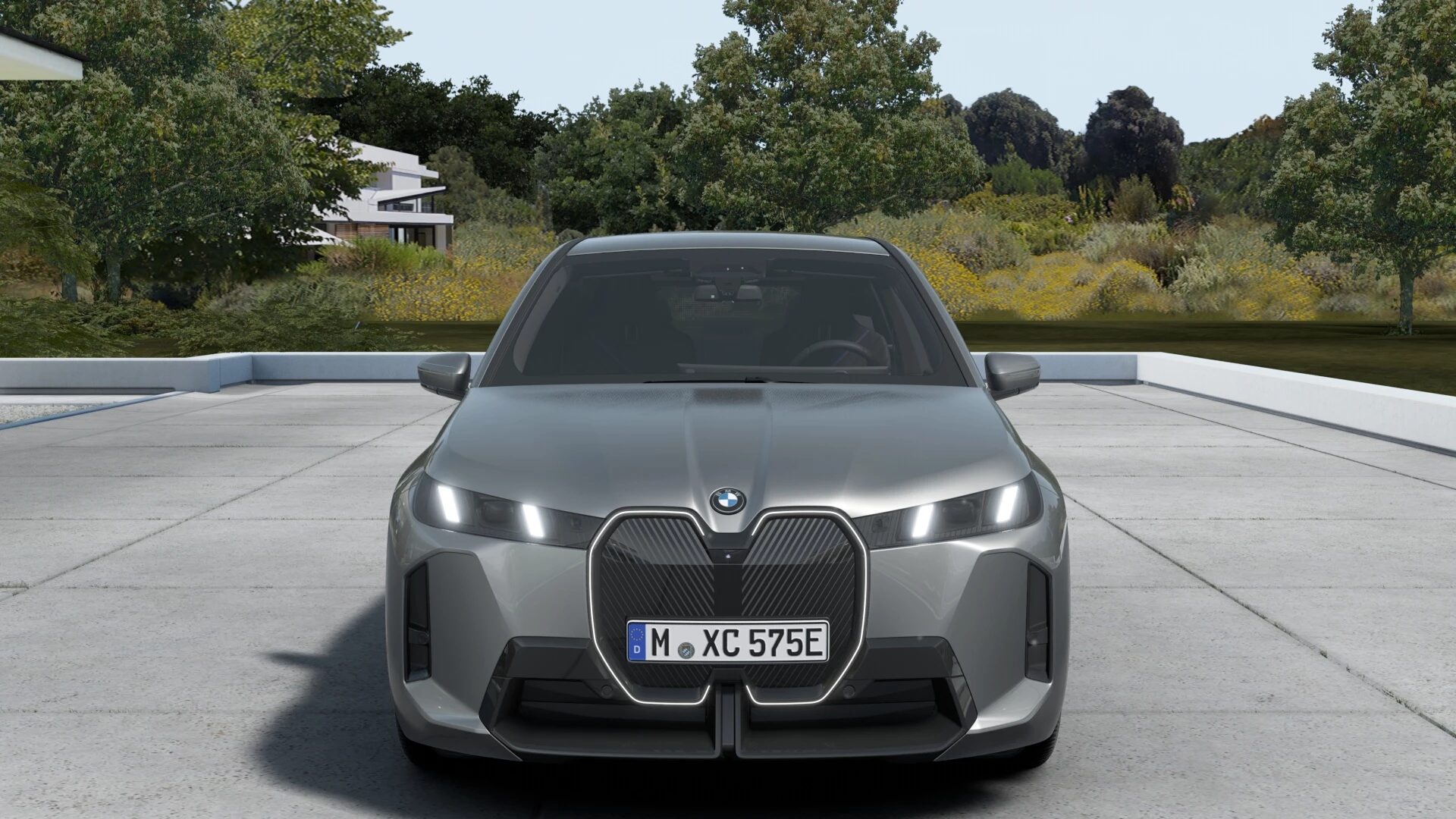 Hoofdafbeelding BMW iX