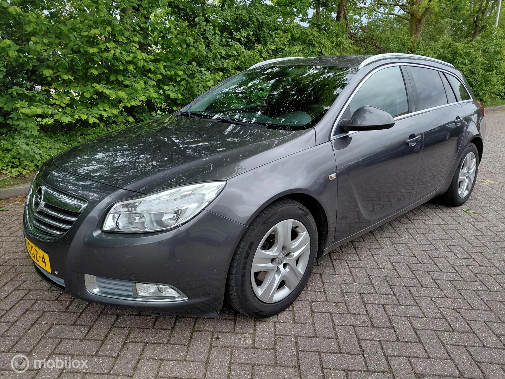 Hoofdafbeelding Opel Insignia