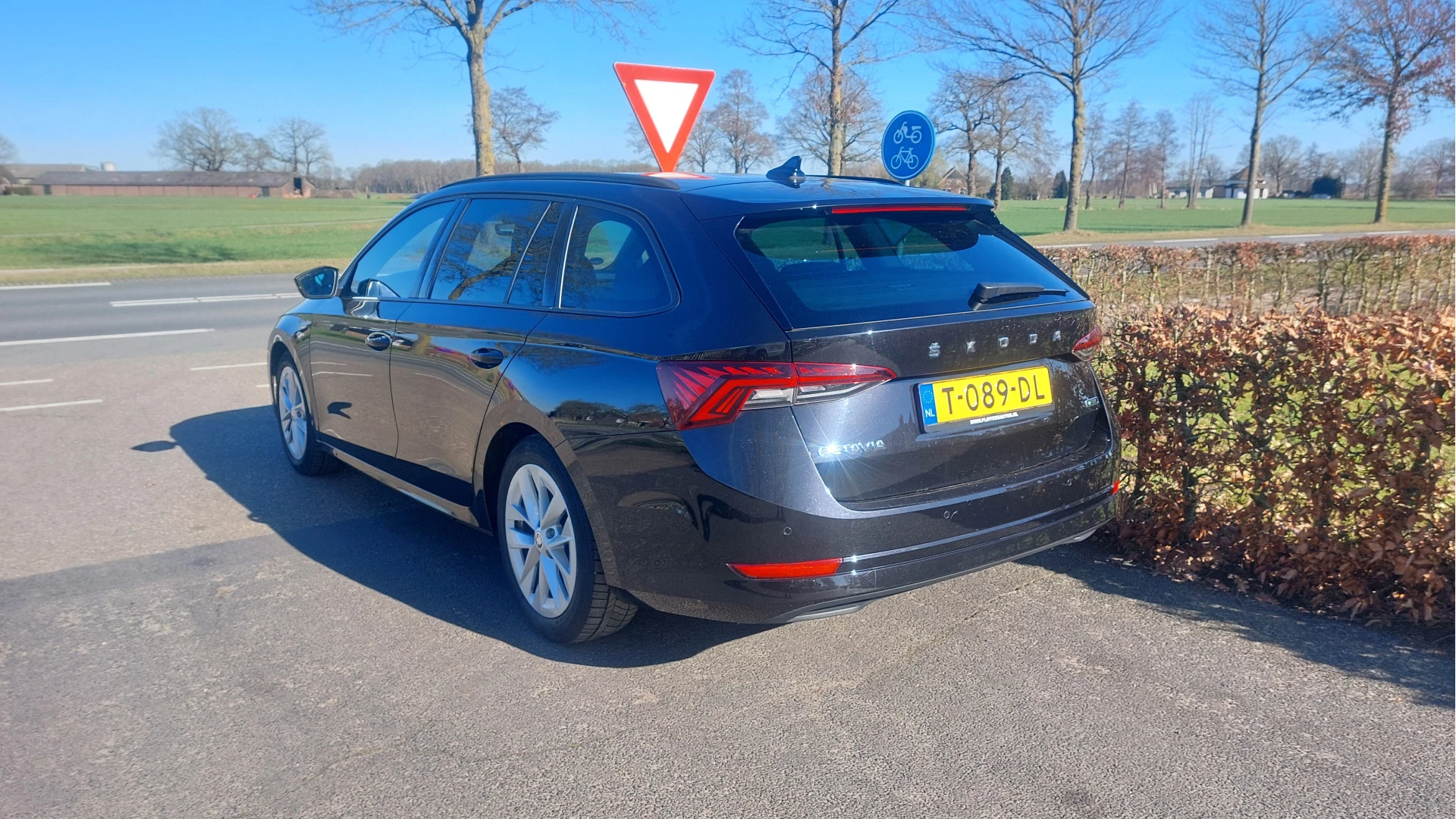 Hoofdafbeelding Škoda Octavia