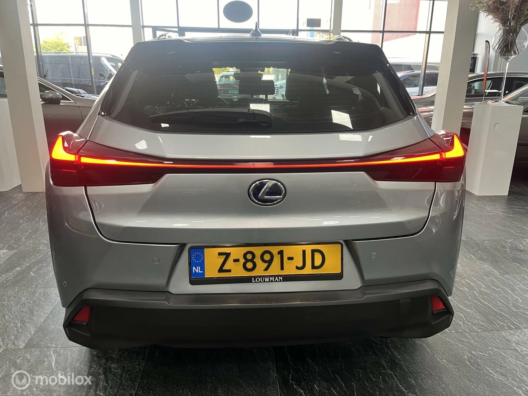 Hoofdafbeelding Lexus UX