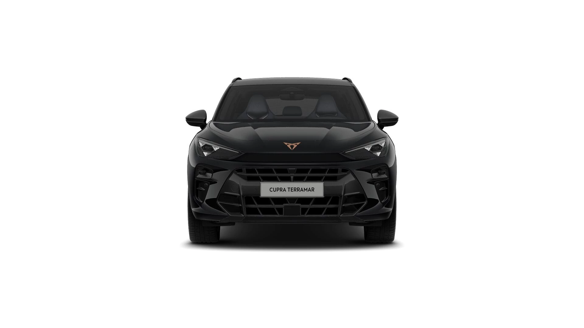 Hoofdafbeelding CUPRA Terramar