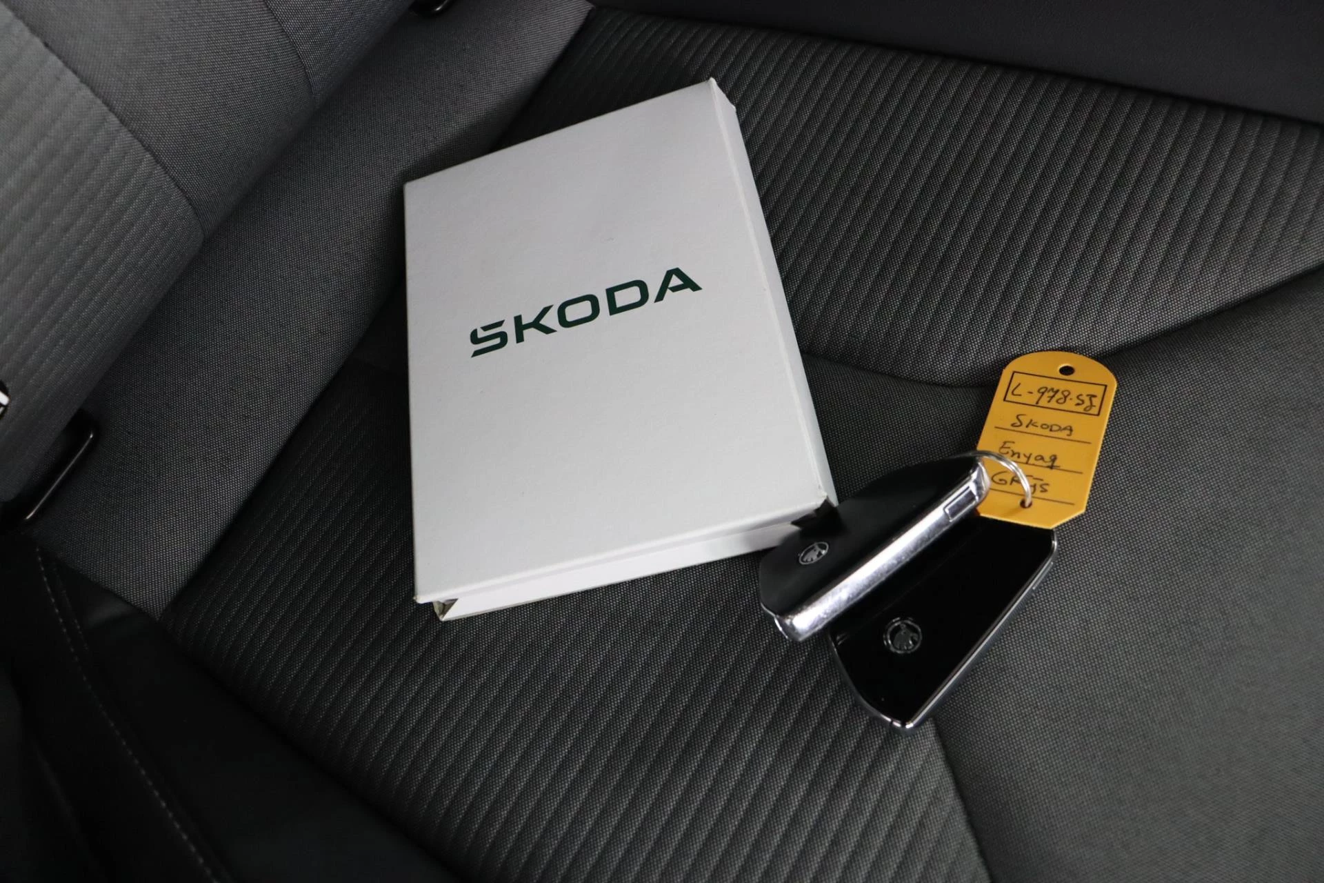 Hoofdafbeelding Škoda Enyaq iV