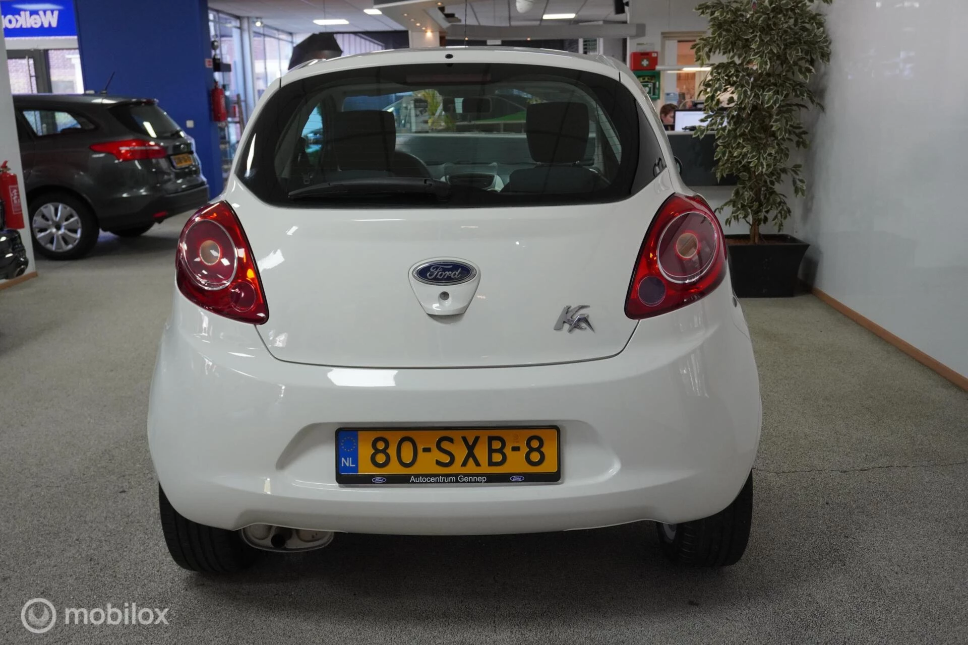 Hoofdafbeelding Ford Ka