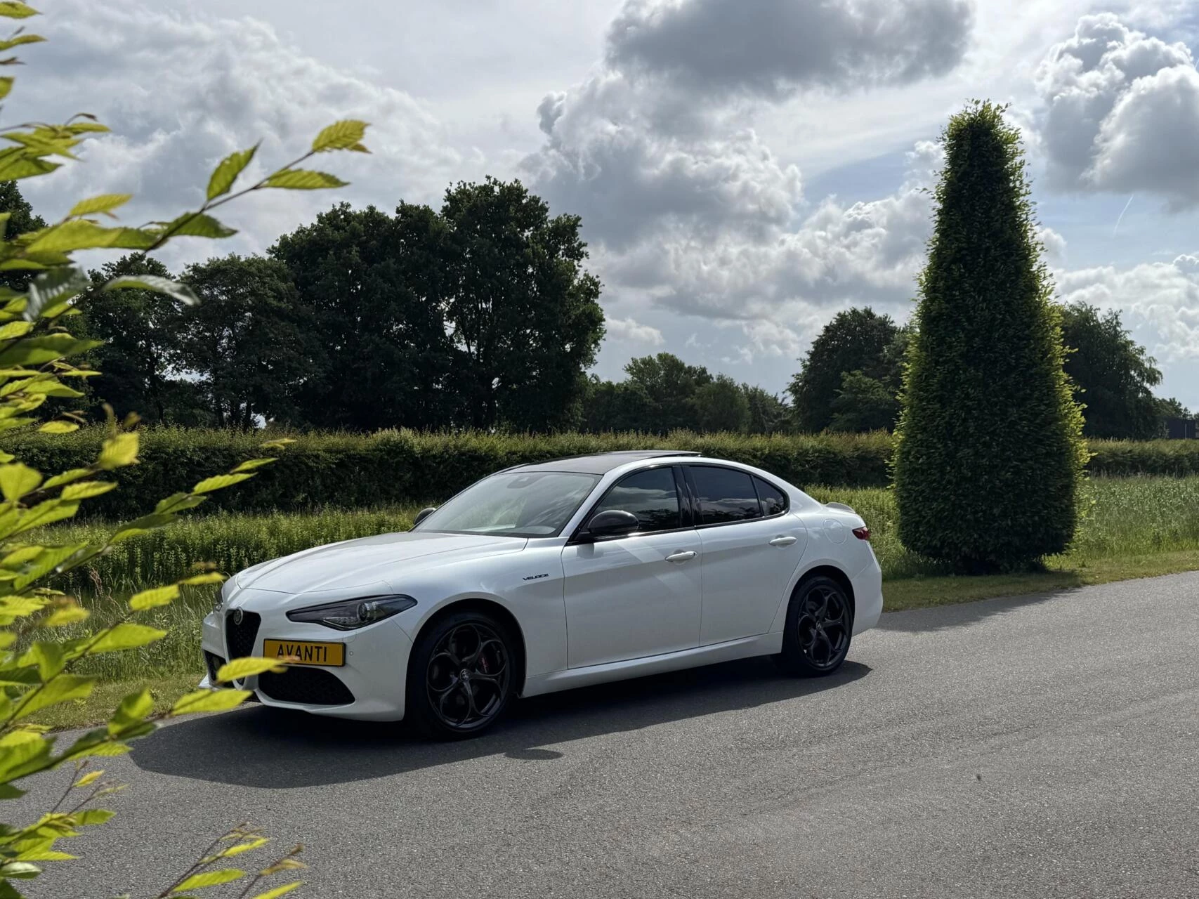 Hoofdafbeelding Alfa Romeo Giulia