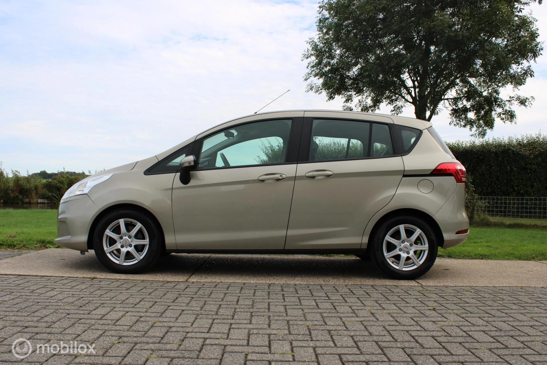 Hoofdafbeelding Ford B-MAX