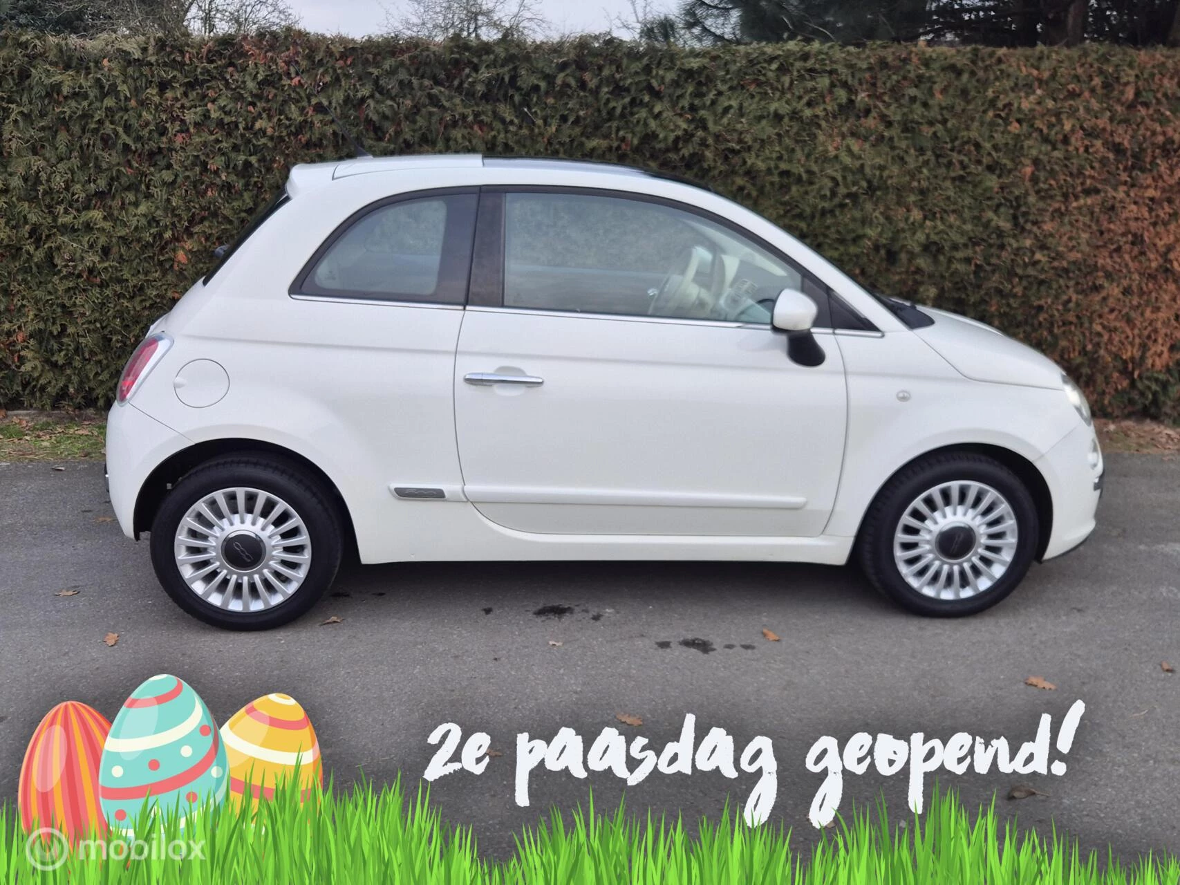 Hoofdafbeelding Fiat 500