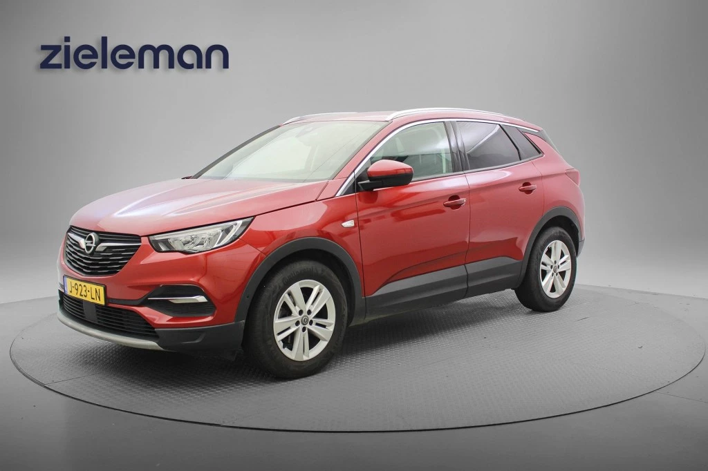 Hoofdafbeelding Opel Grandland X