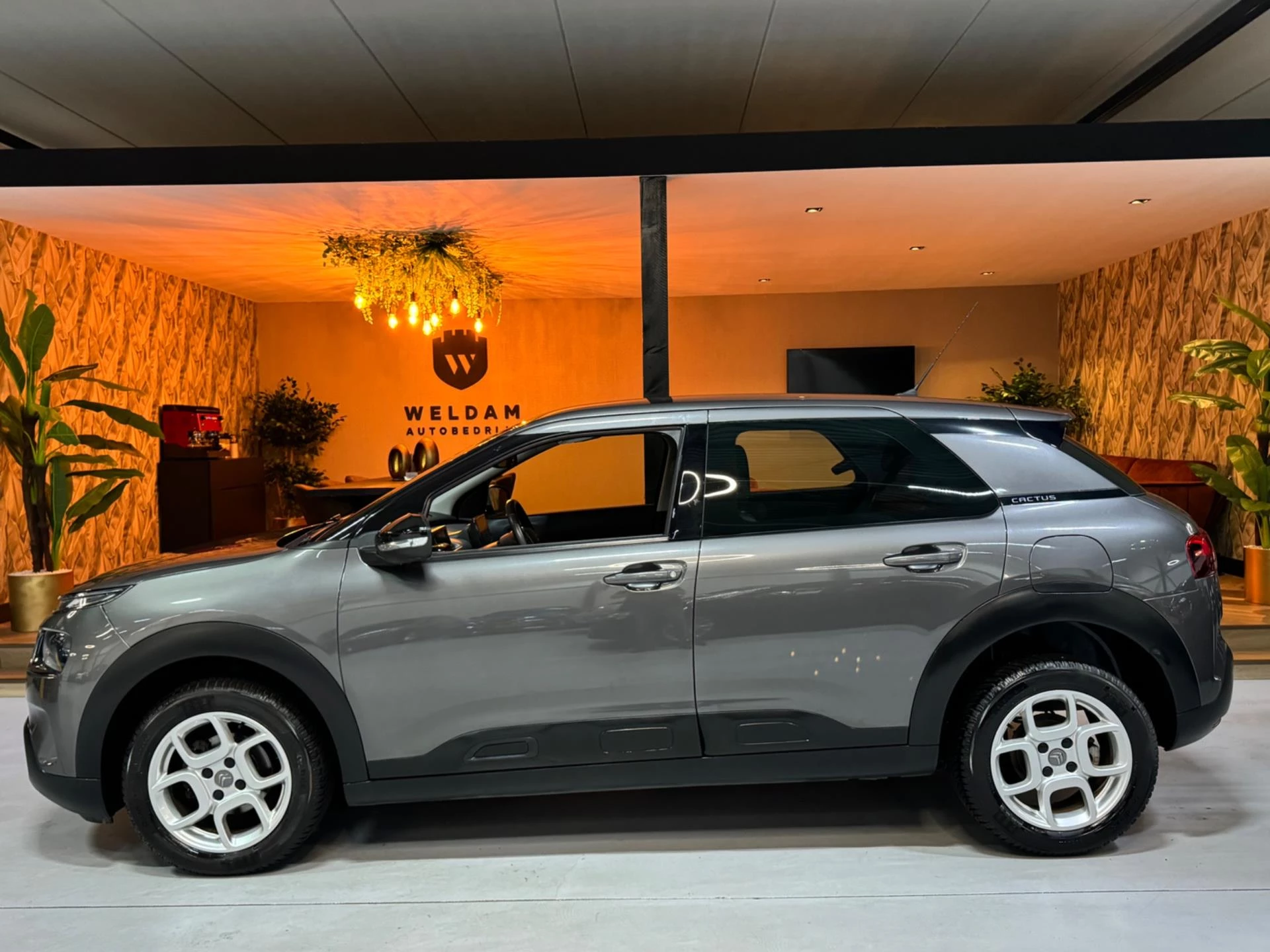 Hoofdafbeelding Citroën C4 Cactus