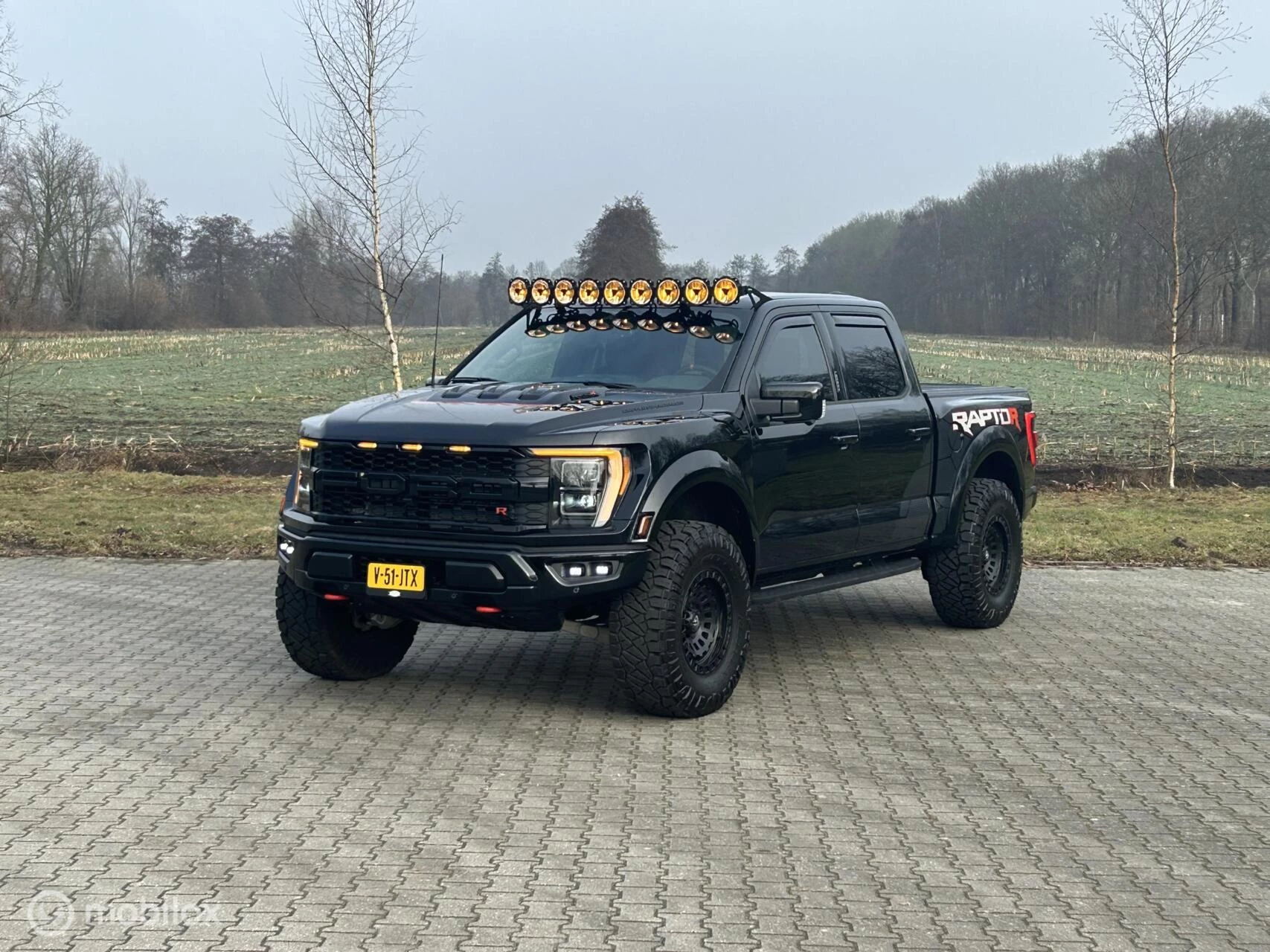 Hoofdafbeelding Ford F-150