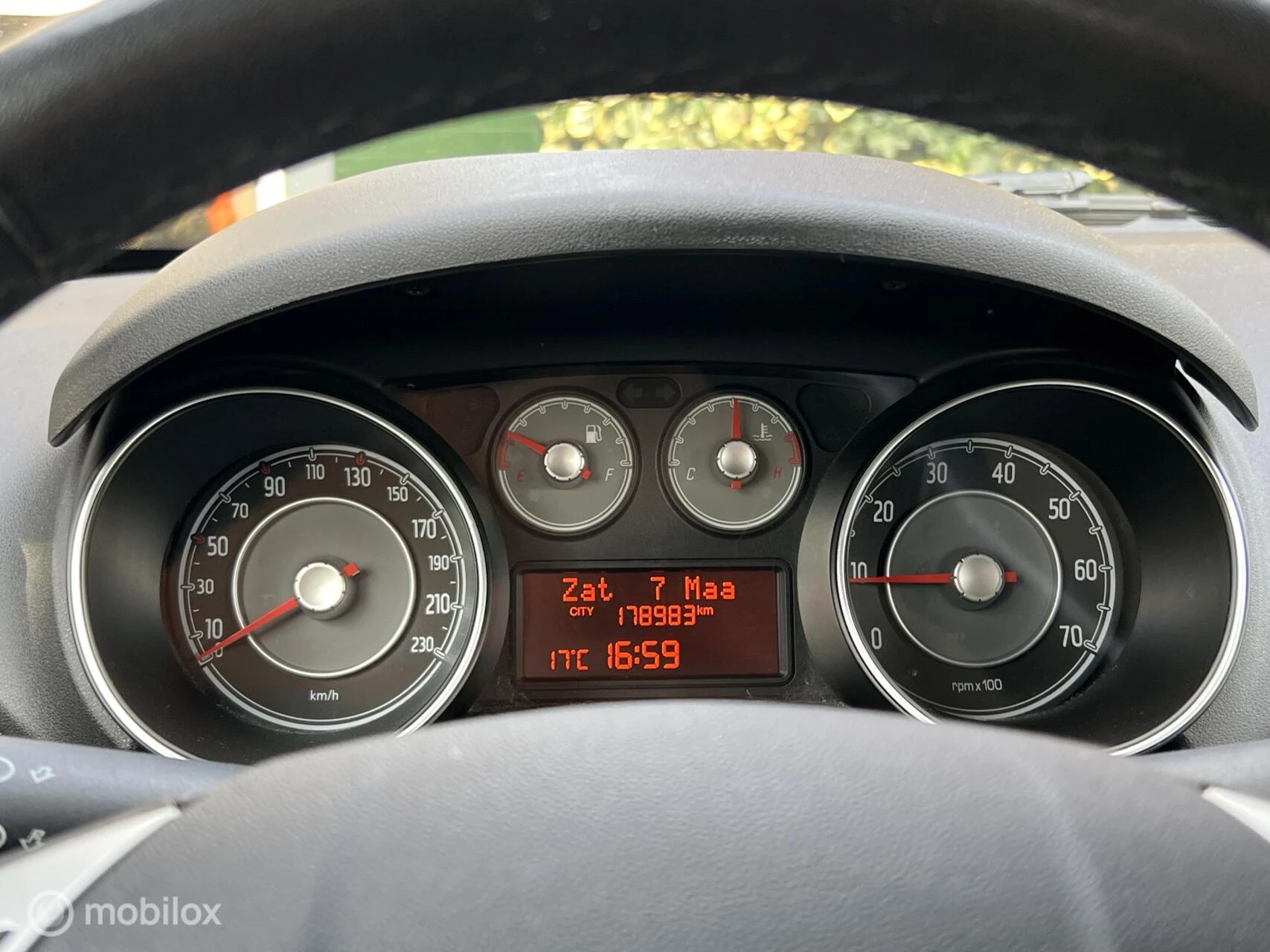 Hoofdafbeelding Fiat Punto