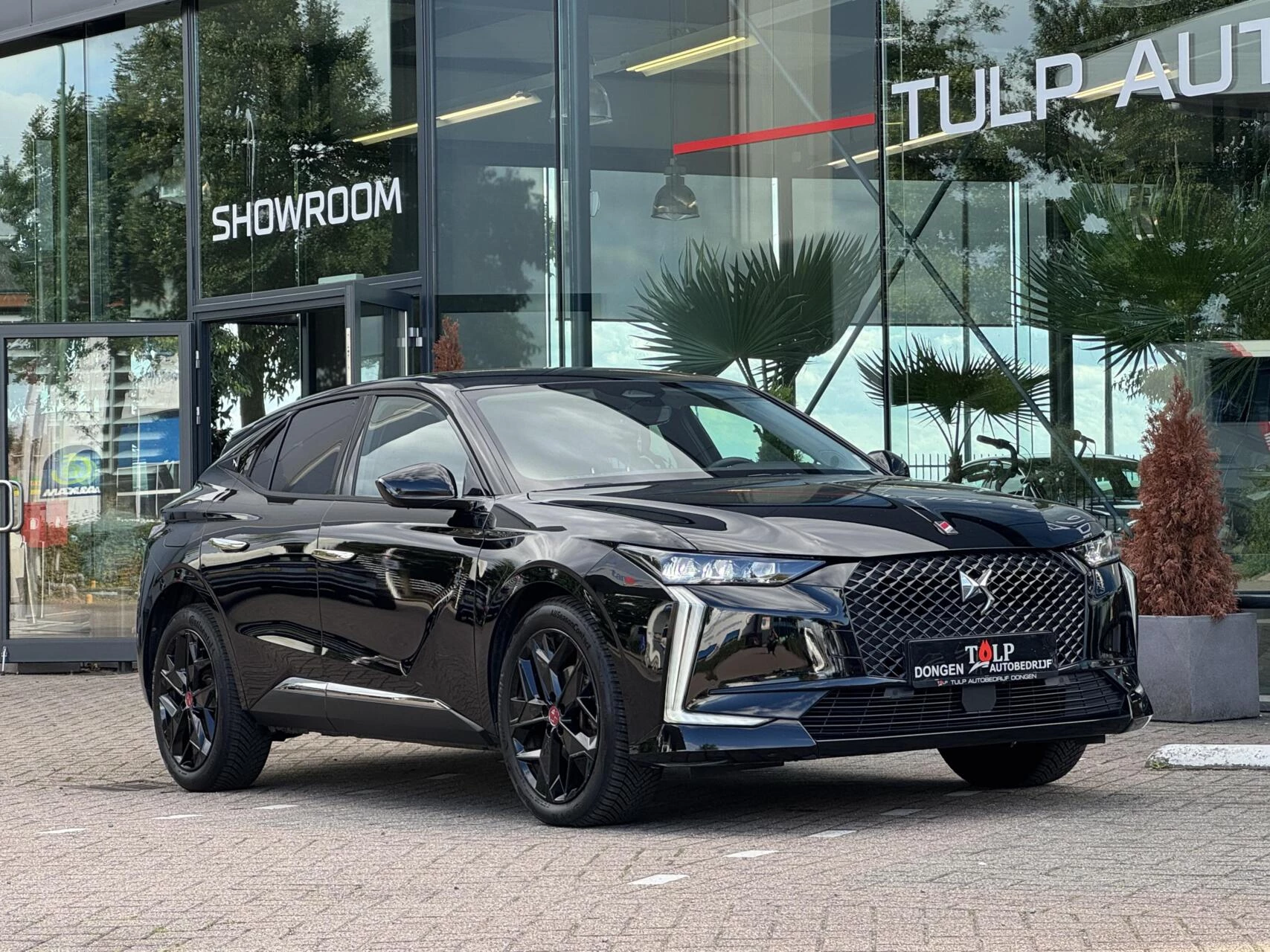 Hoofdafbeelding DS DS 4