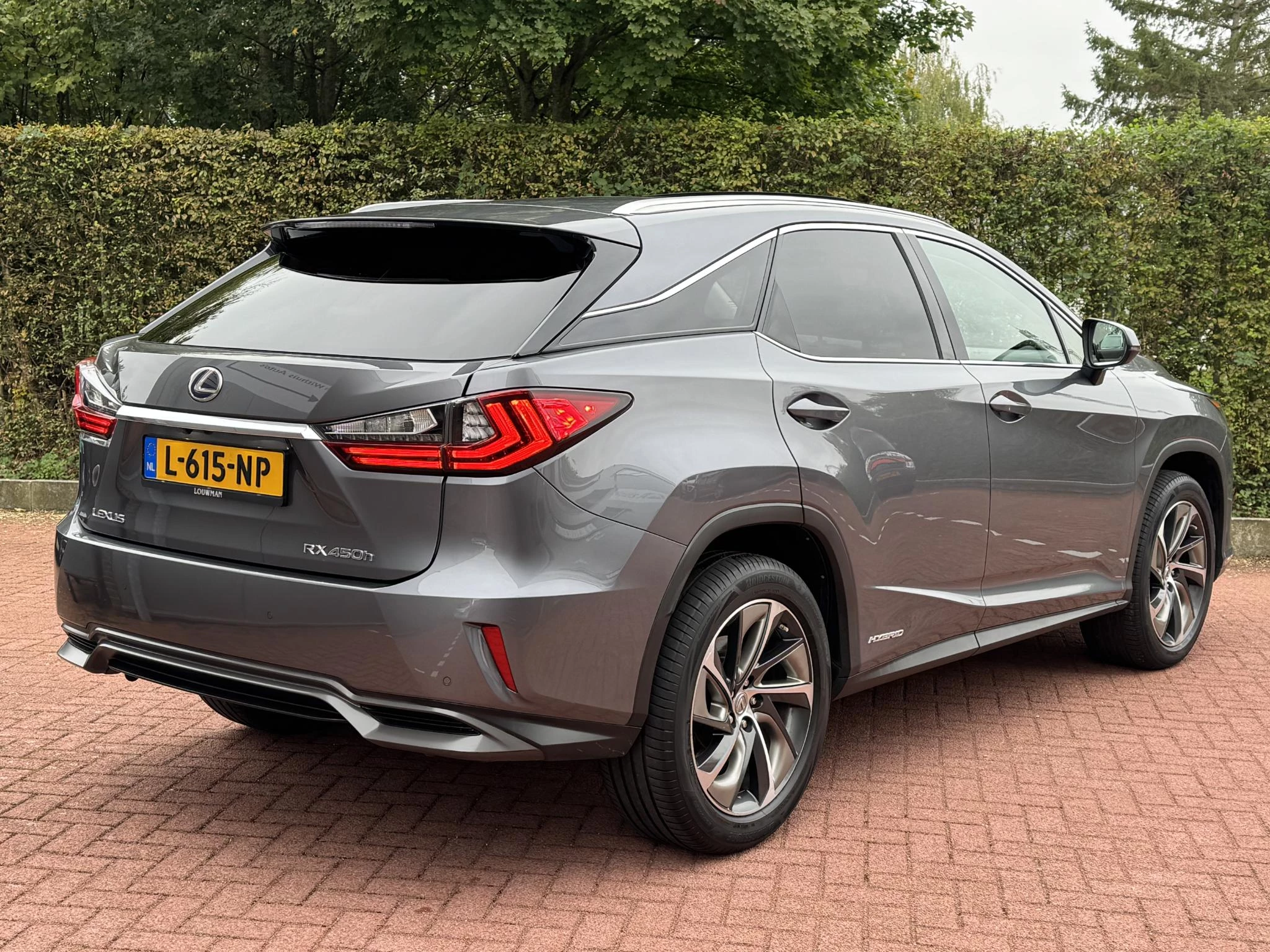 Hoofdafbeelding Lexus RX