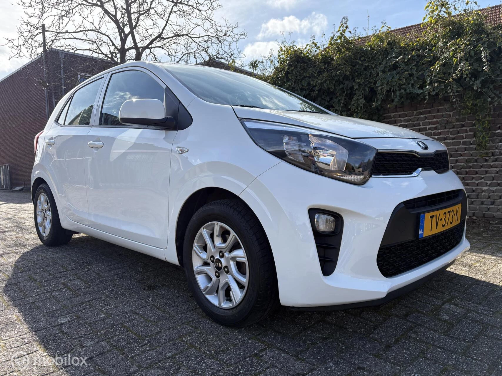 Hoofdafbeelding Kia Picanto