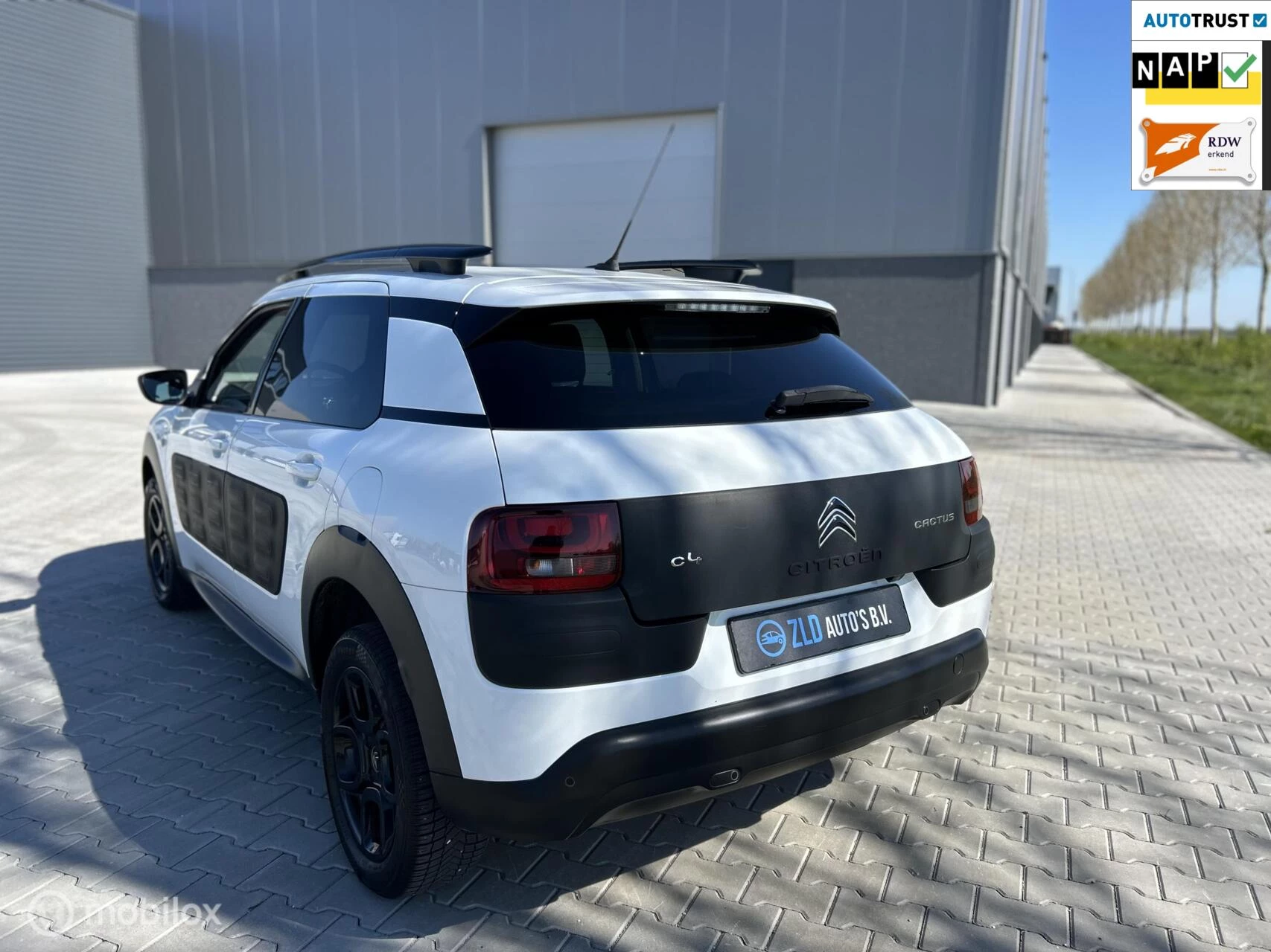 Hoofdafbeelding Citroën C4 Cactus