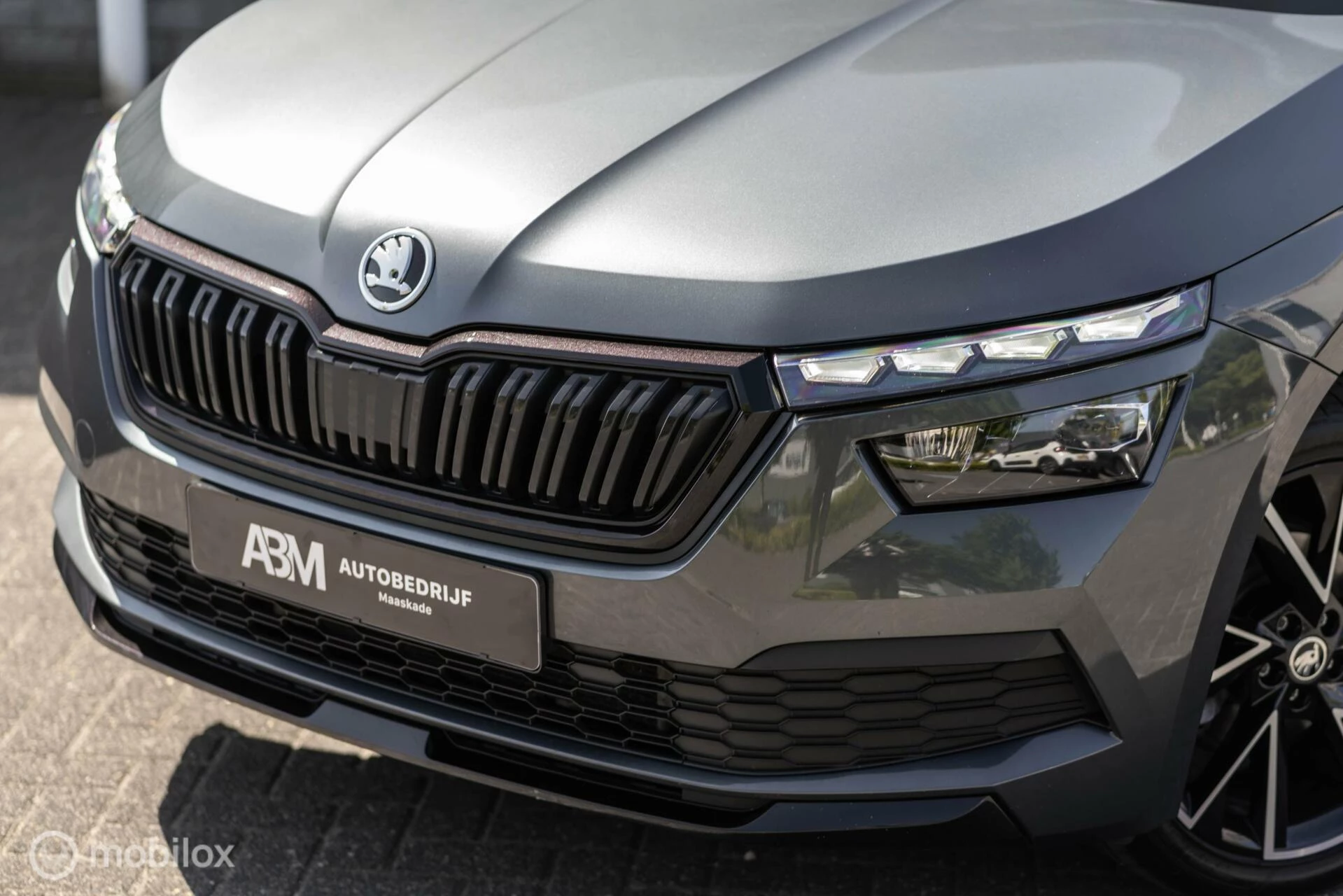Hoofdafbeelding Škoda Kamiq