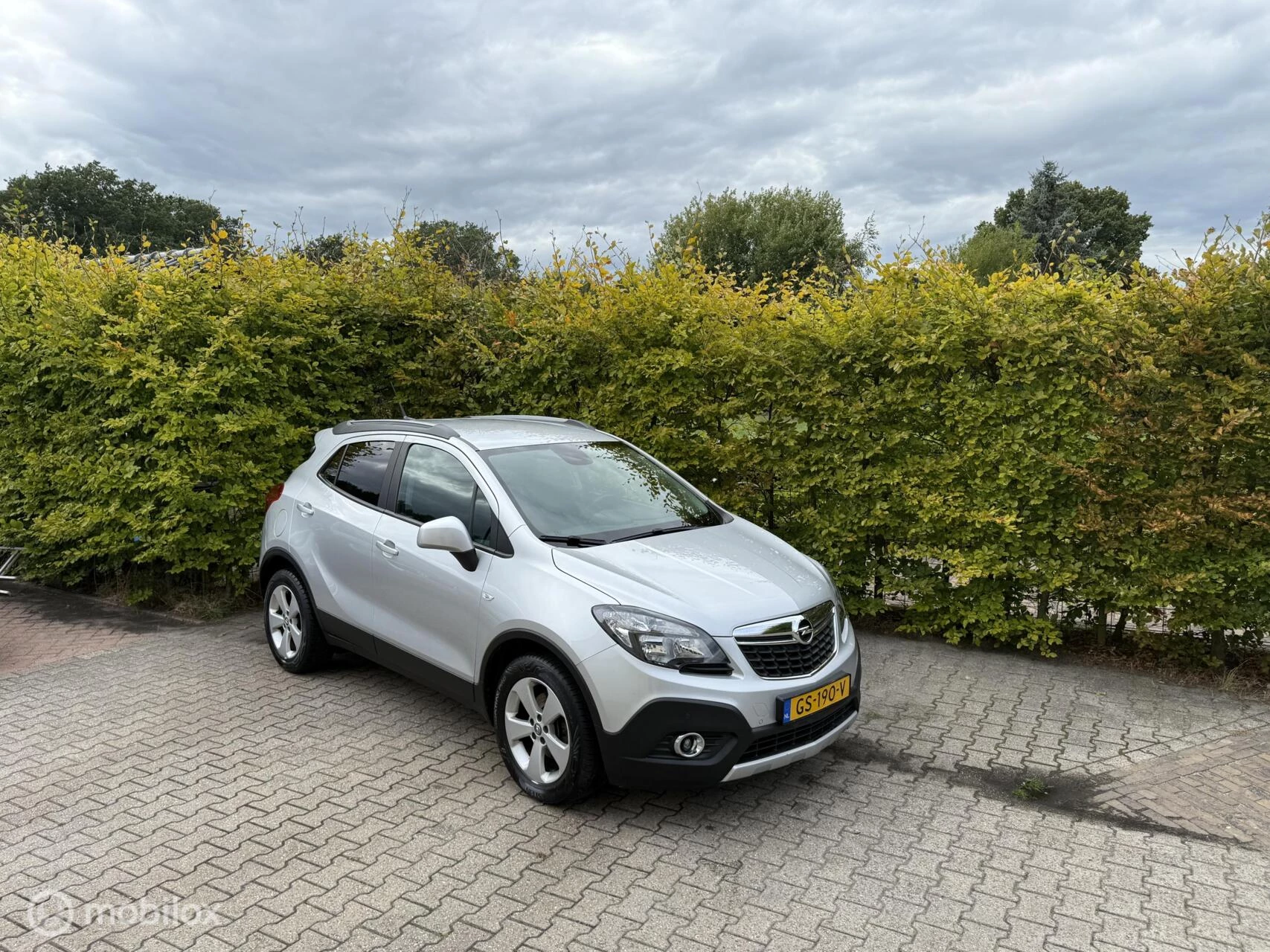 Hoofdafbeelding Opel Mokka